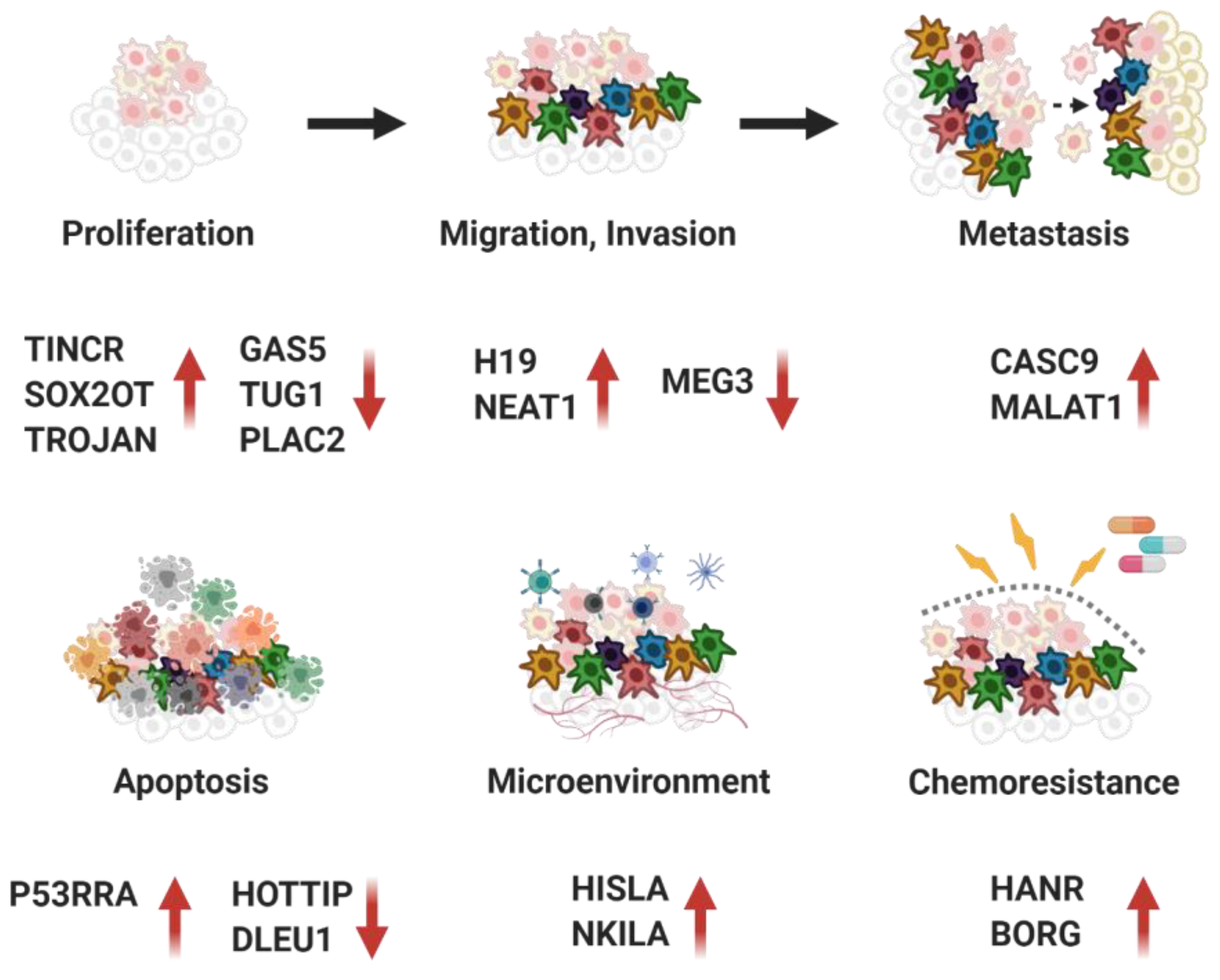 Cancers 12 02925 g008