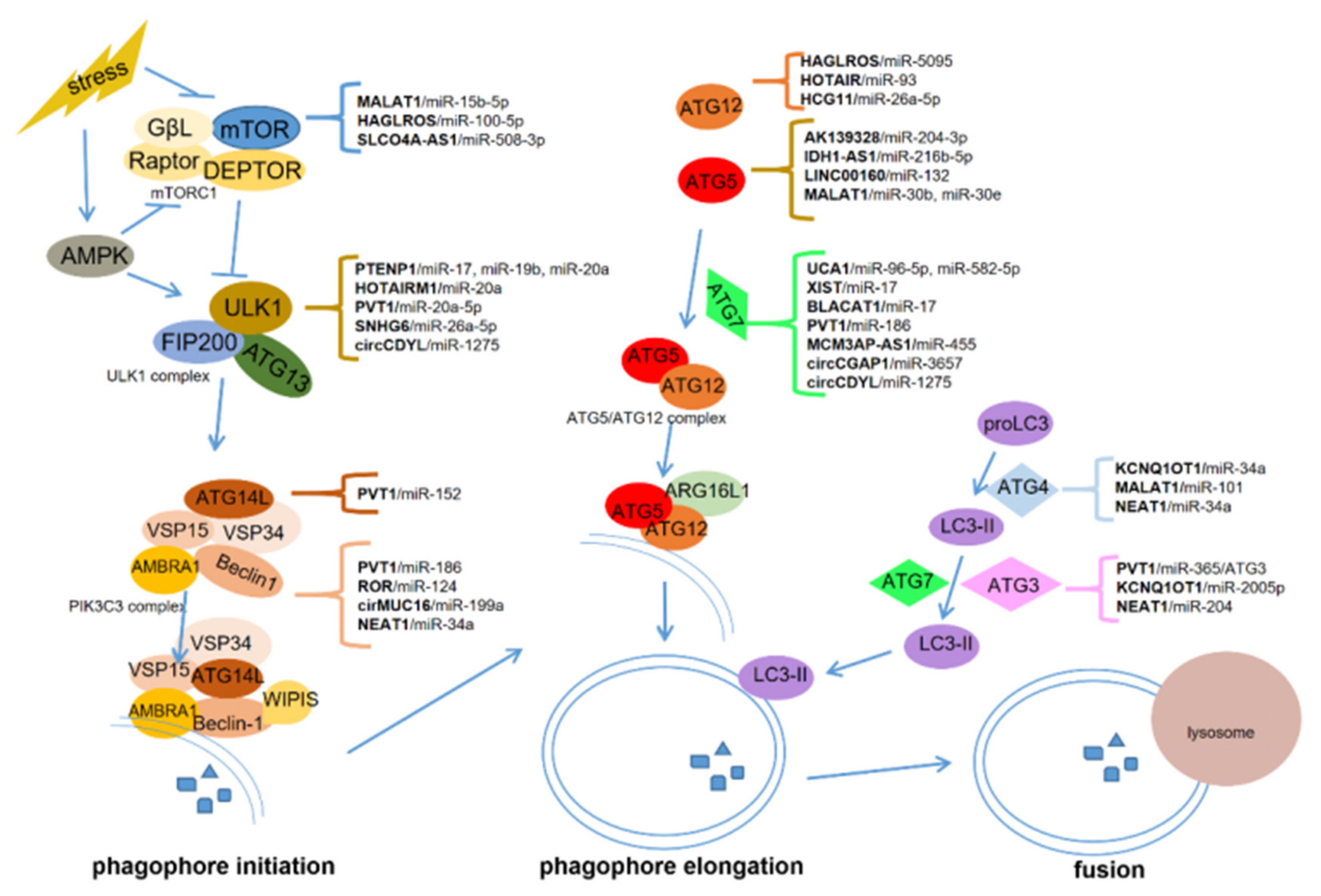 Cancers 12 02926 g001 Cancers 12 02926 g001