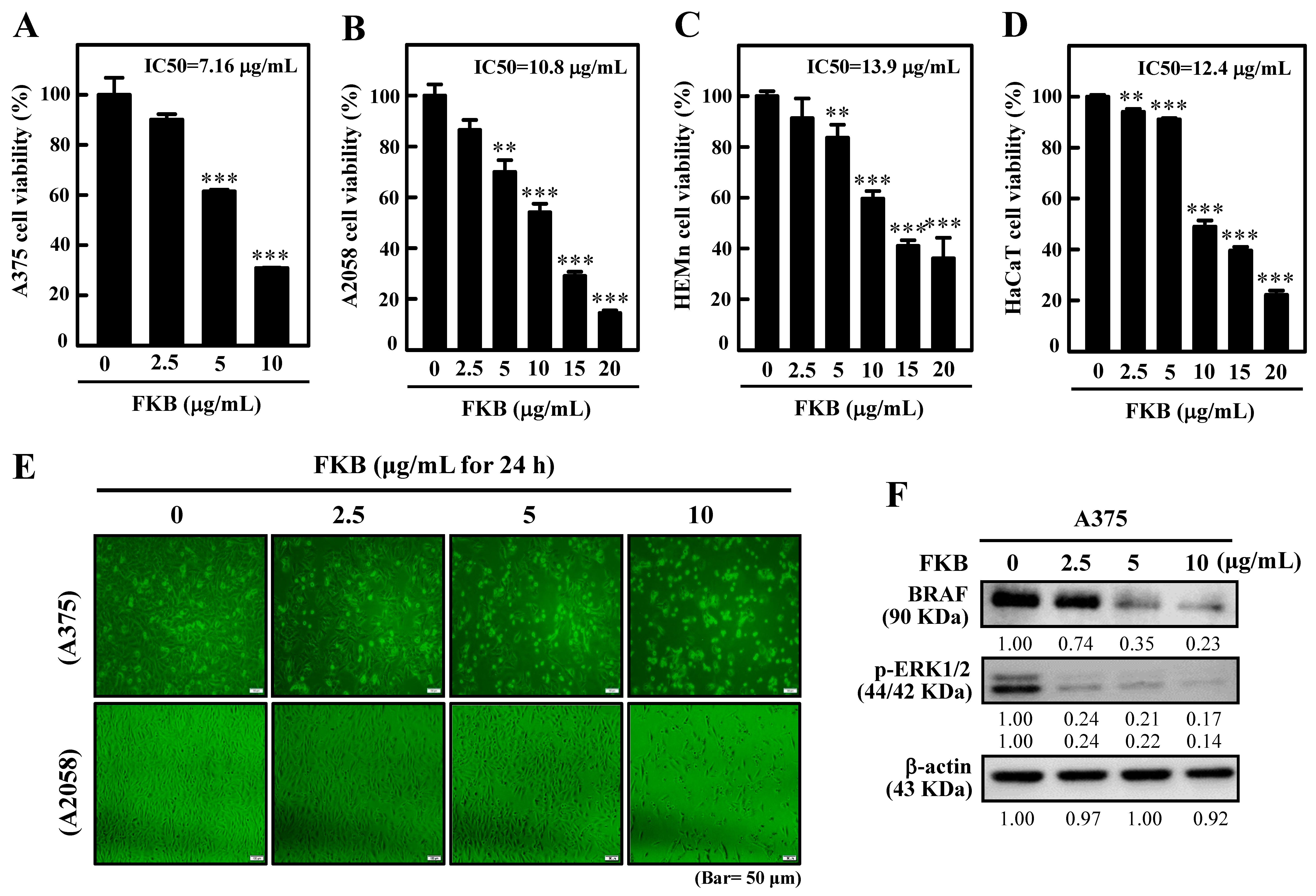 Cancers 12 02936 g001