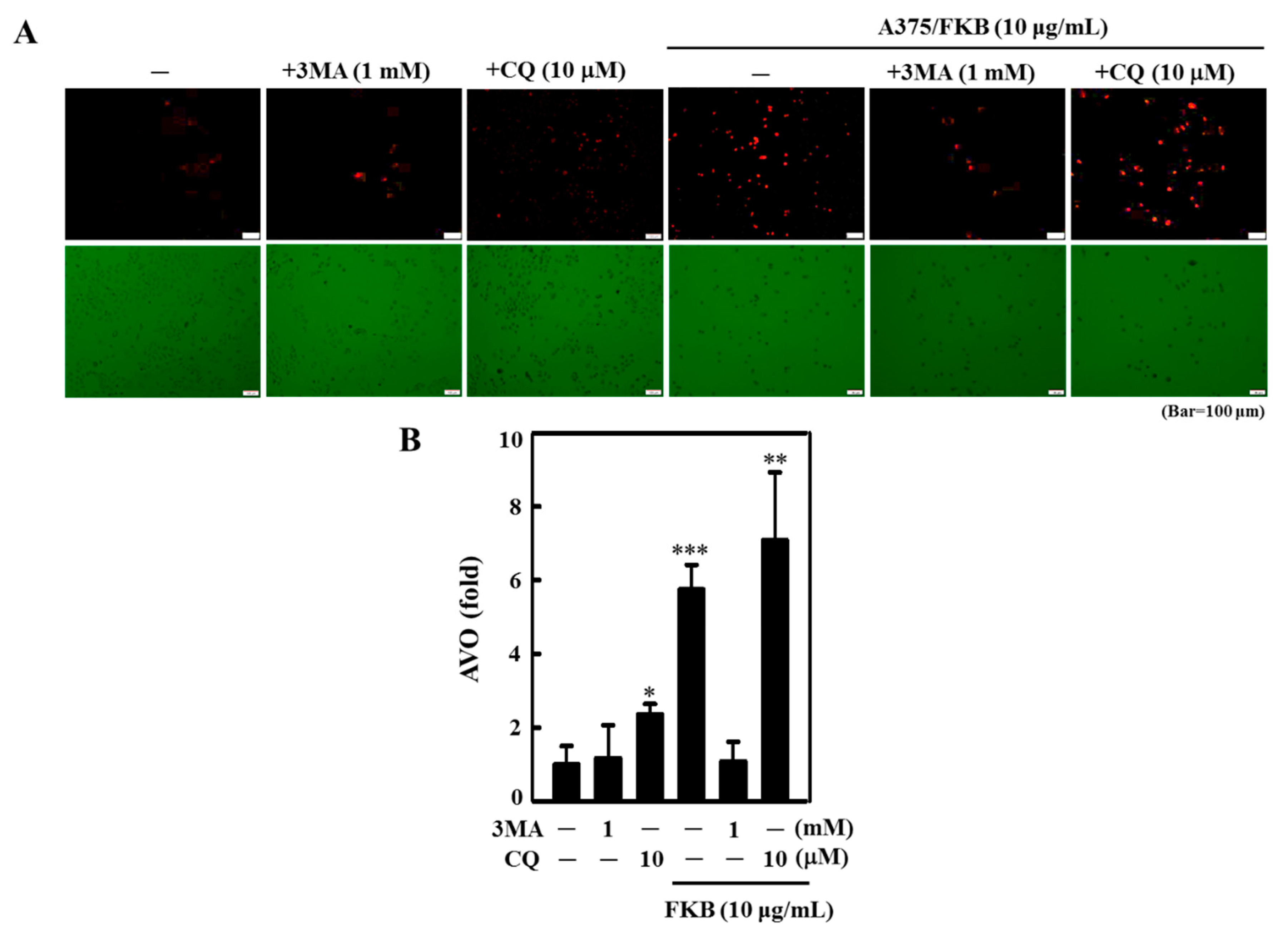 Cancers 12 02936 g007