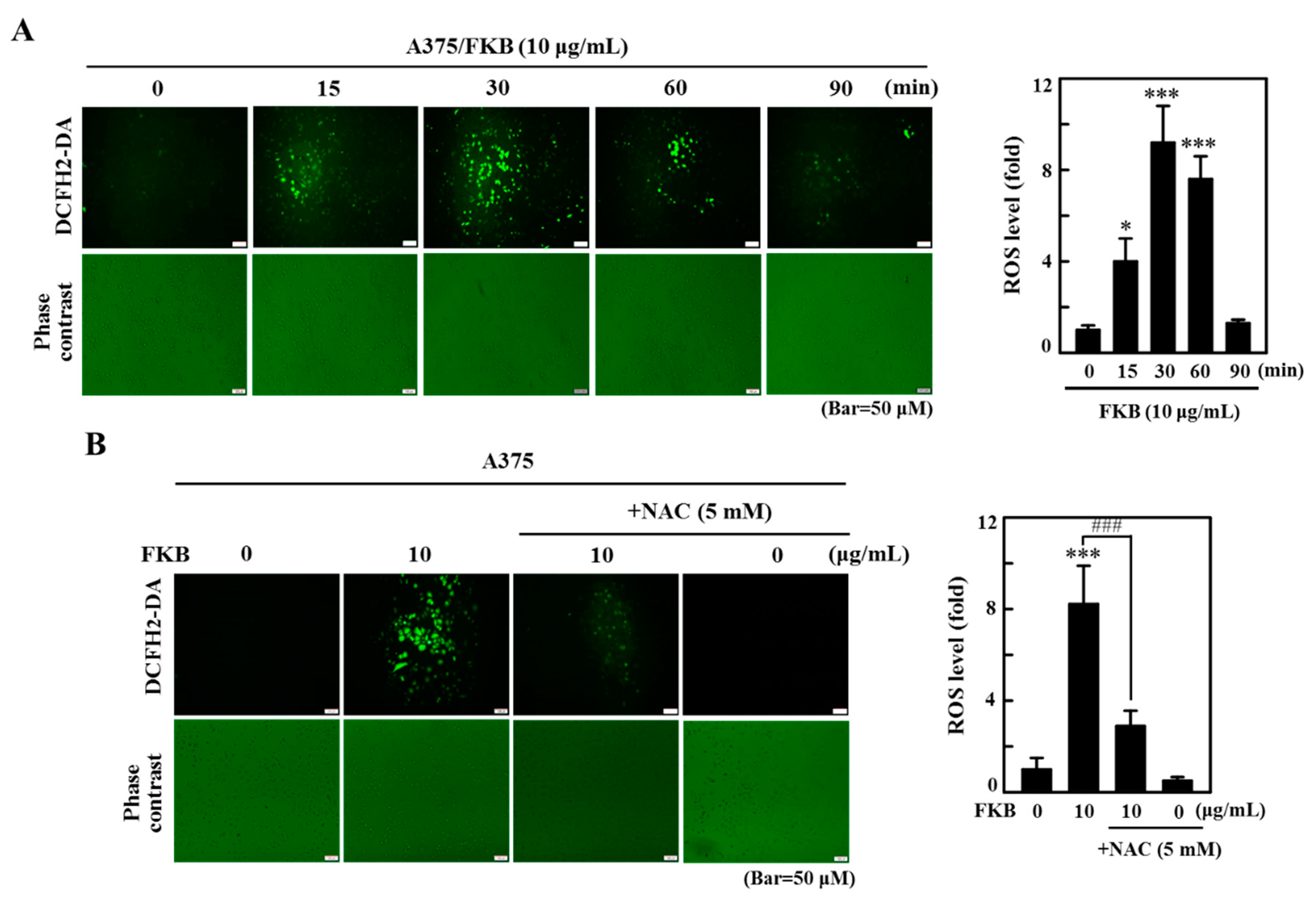 Cancers 12 02936 g009