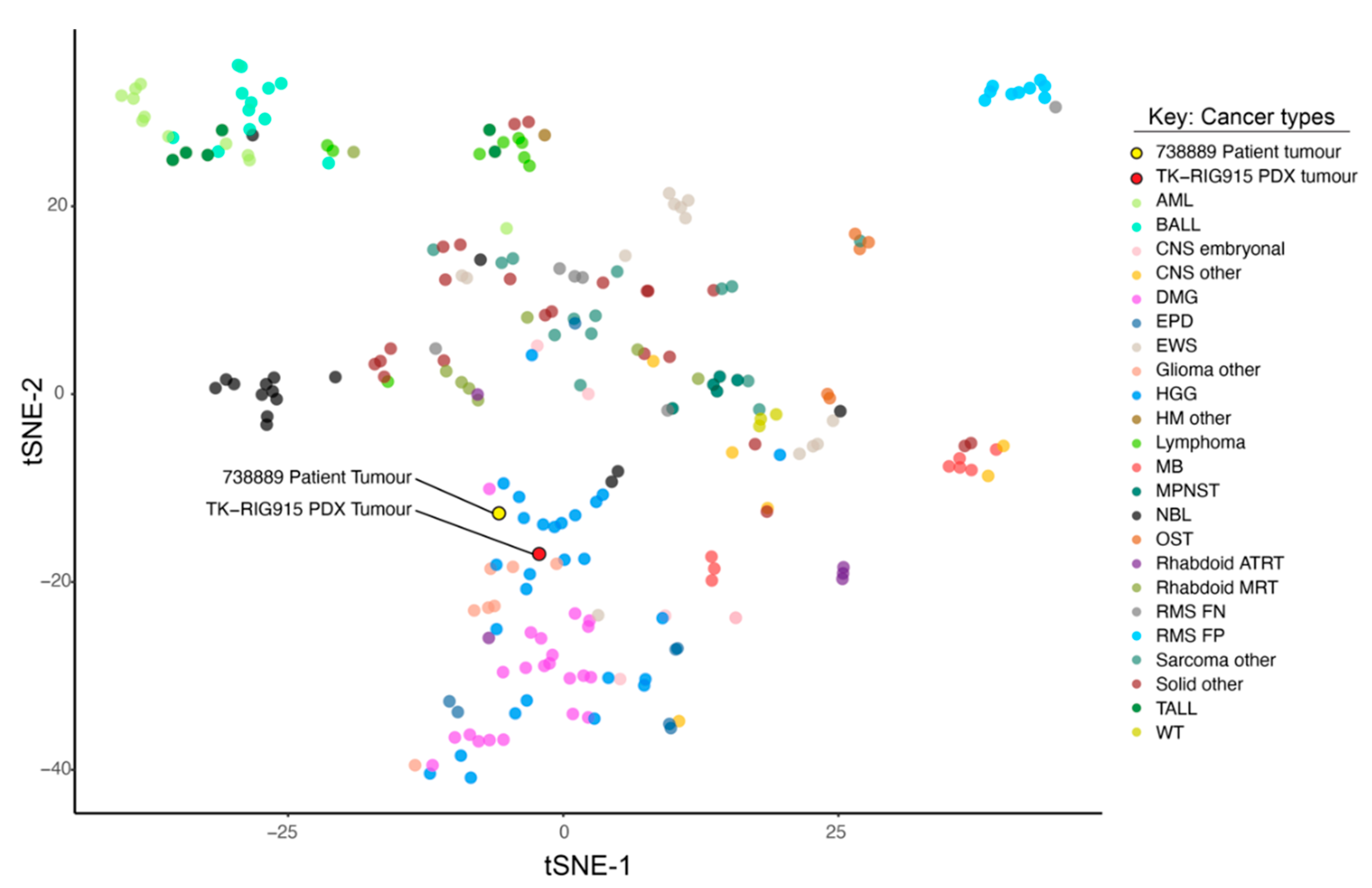 Cancers 12 02937 g004