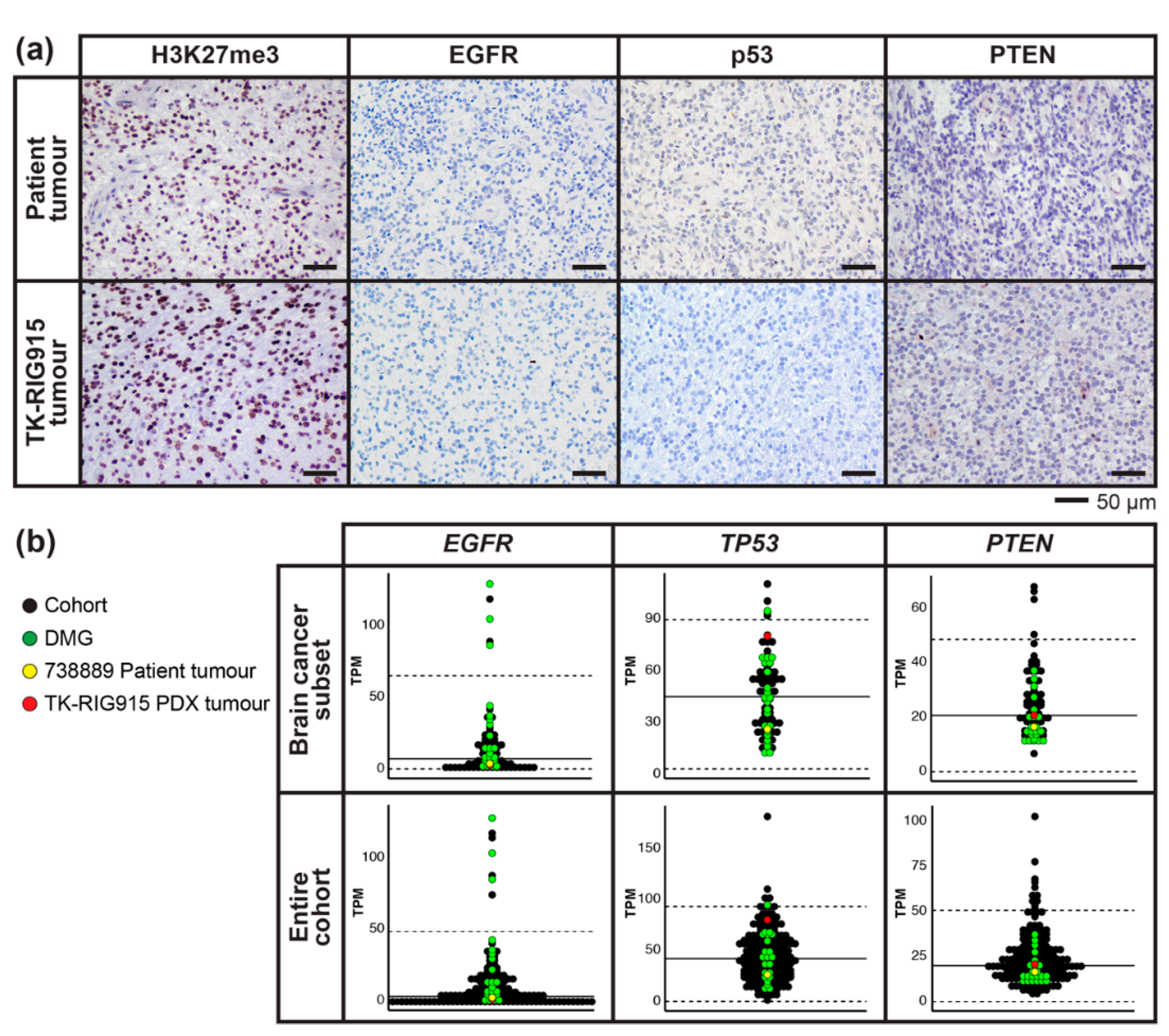 Cancers 12 02937 g007
