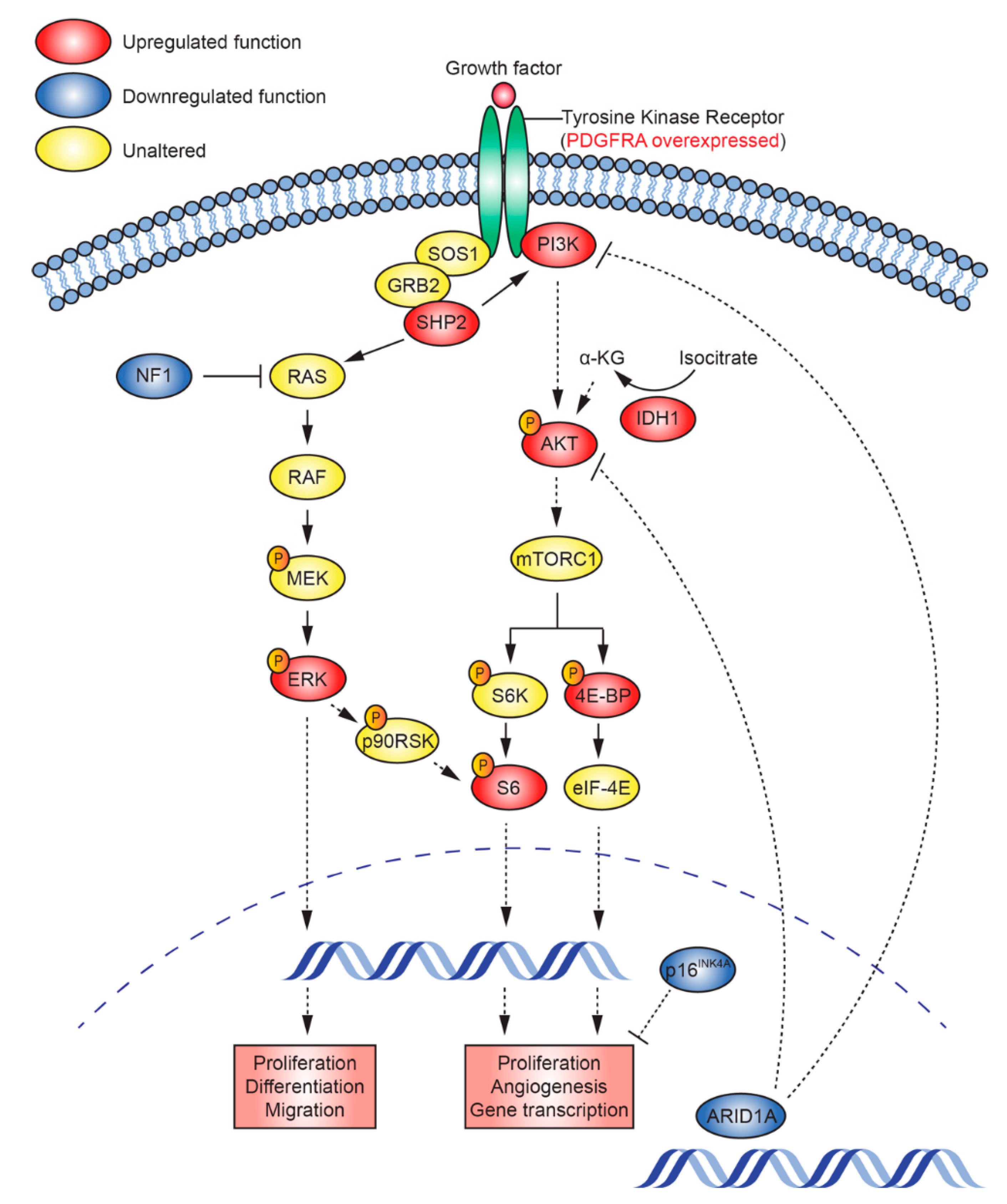 Cancers 12 02937 g010