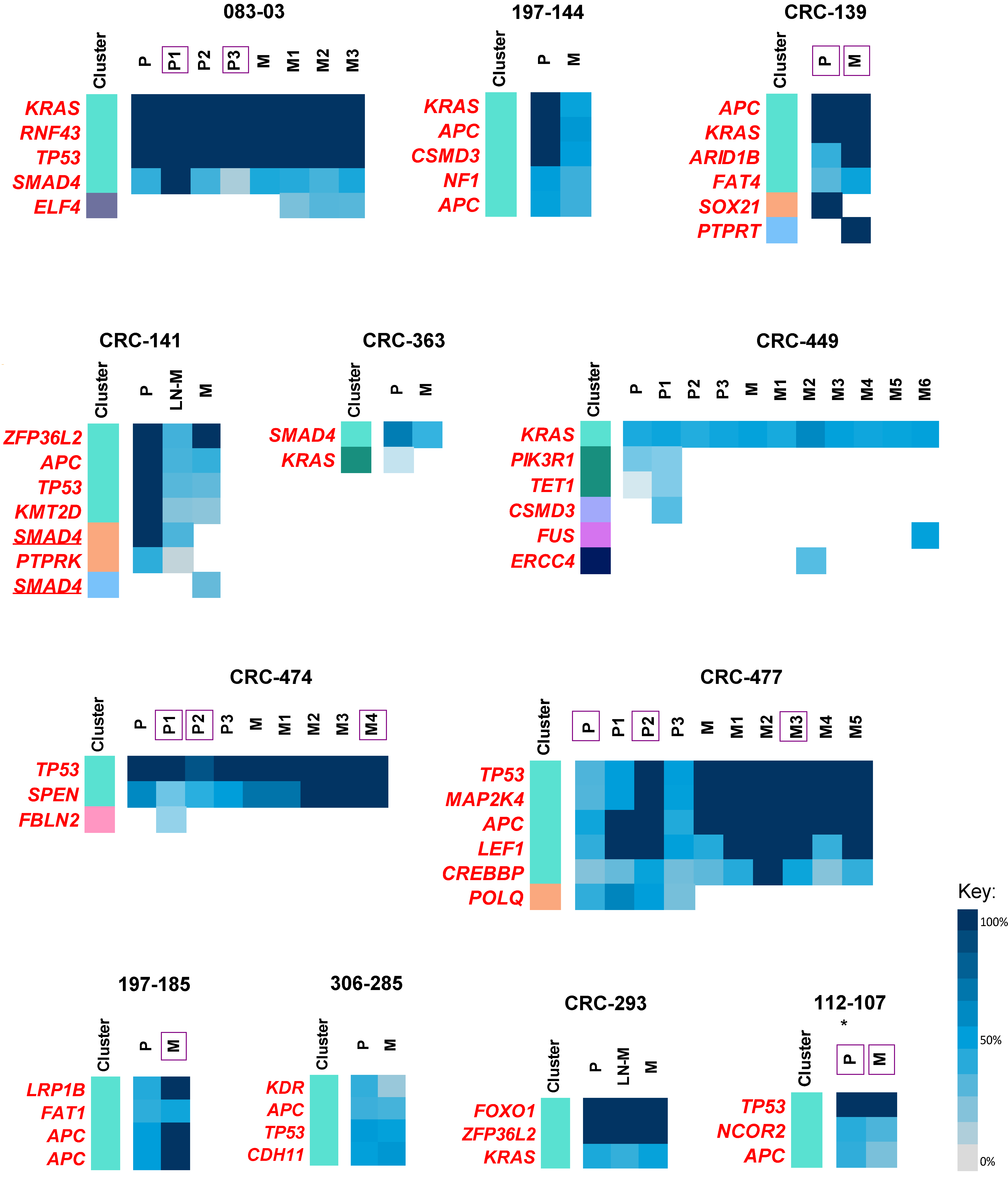 Cancers 12 02938 g004