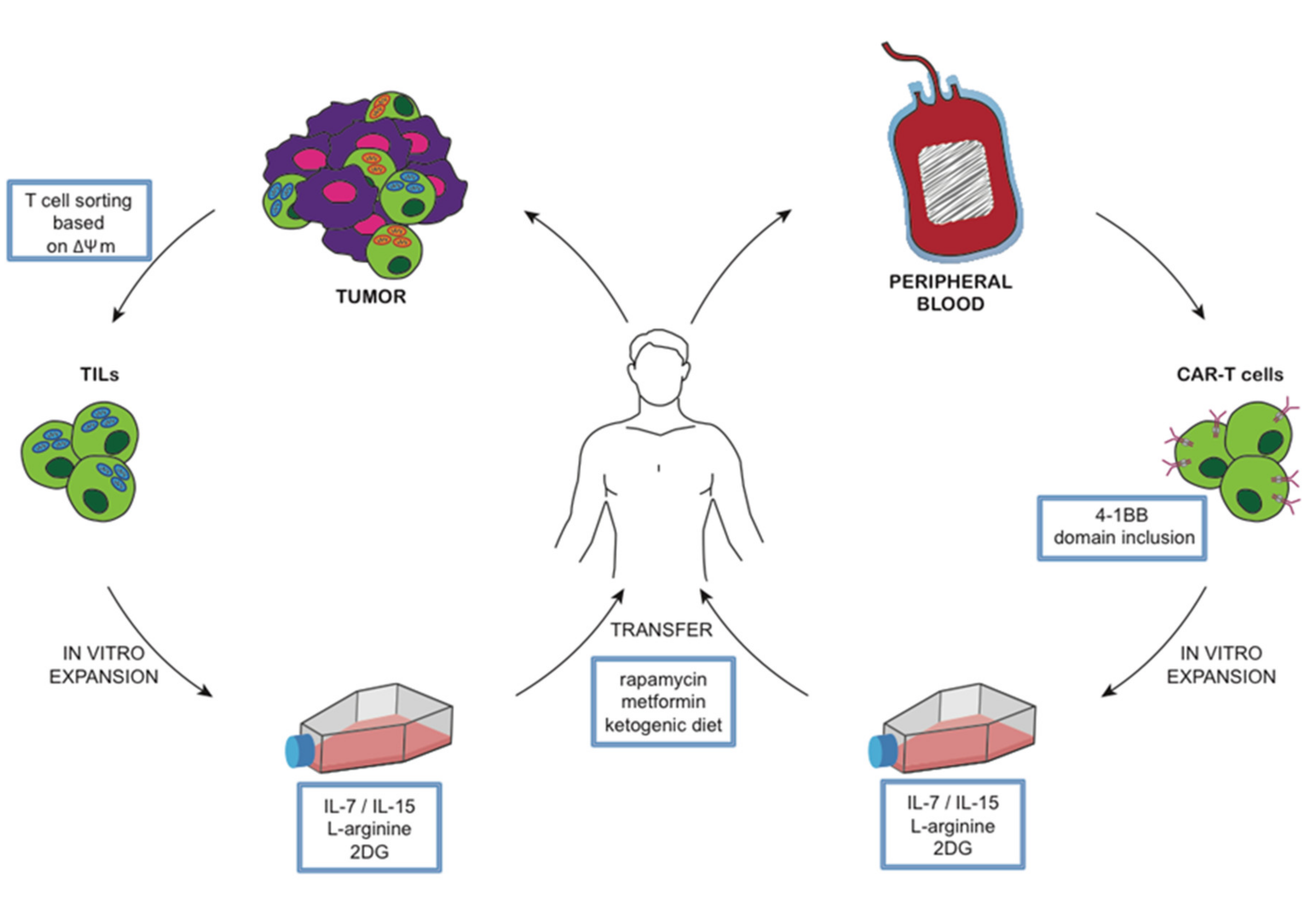 Cancers 12 02940 g002 Cancers 12 02940 g002