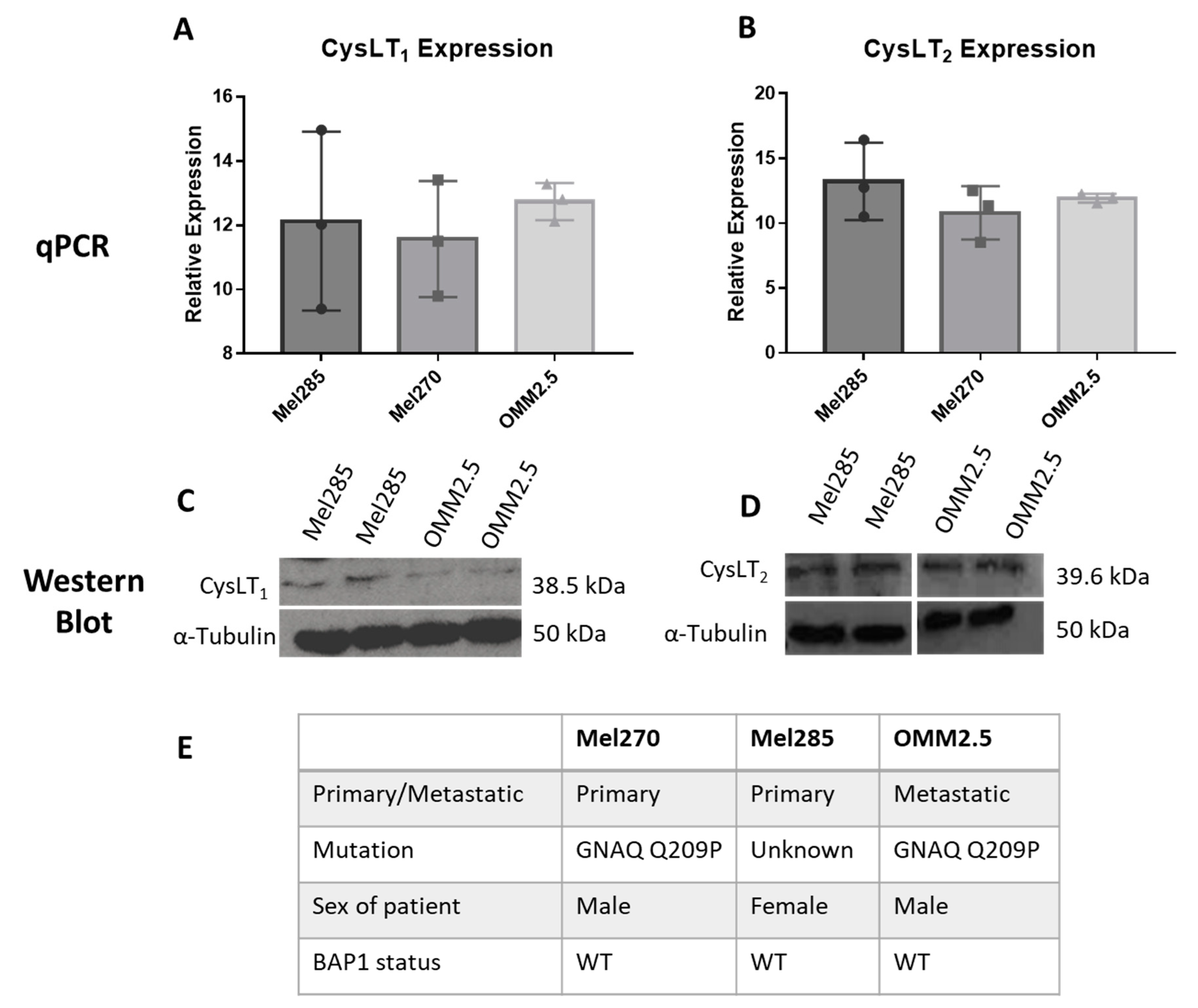Cancers 12 02950 g004