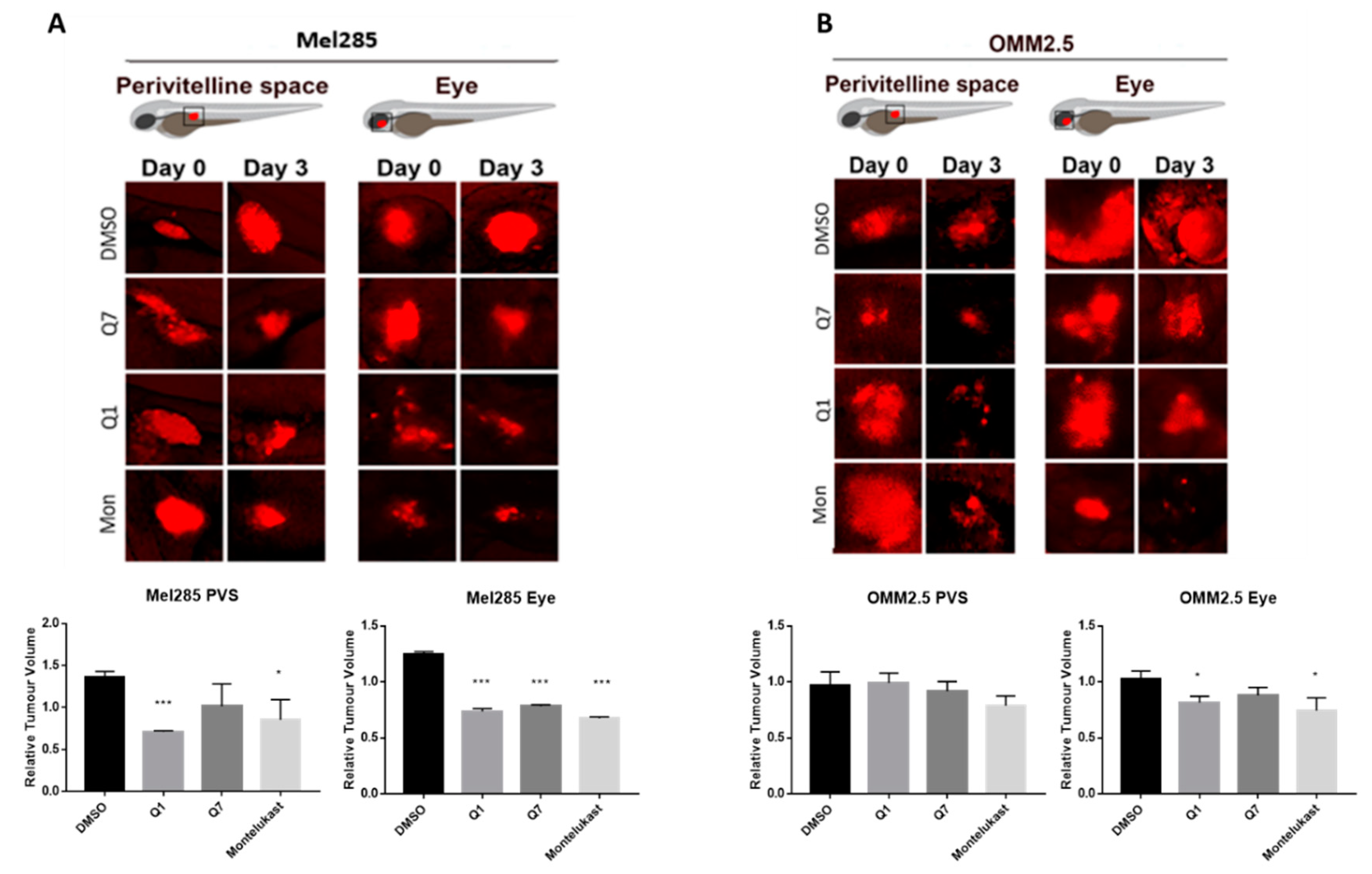Cancers 12 02950 g010