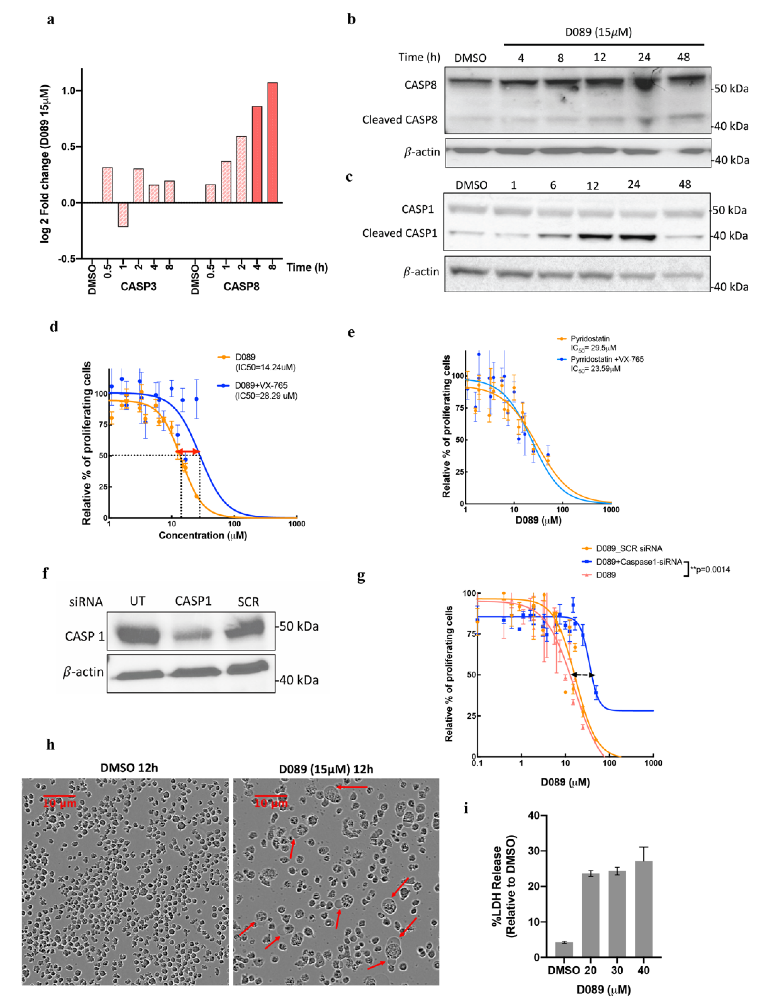 Cancers 12 02952 g004 Cancers 12 02952 g004