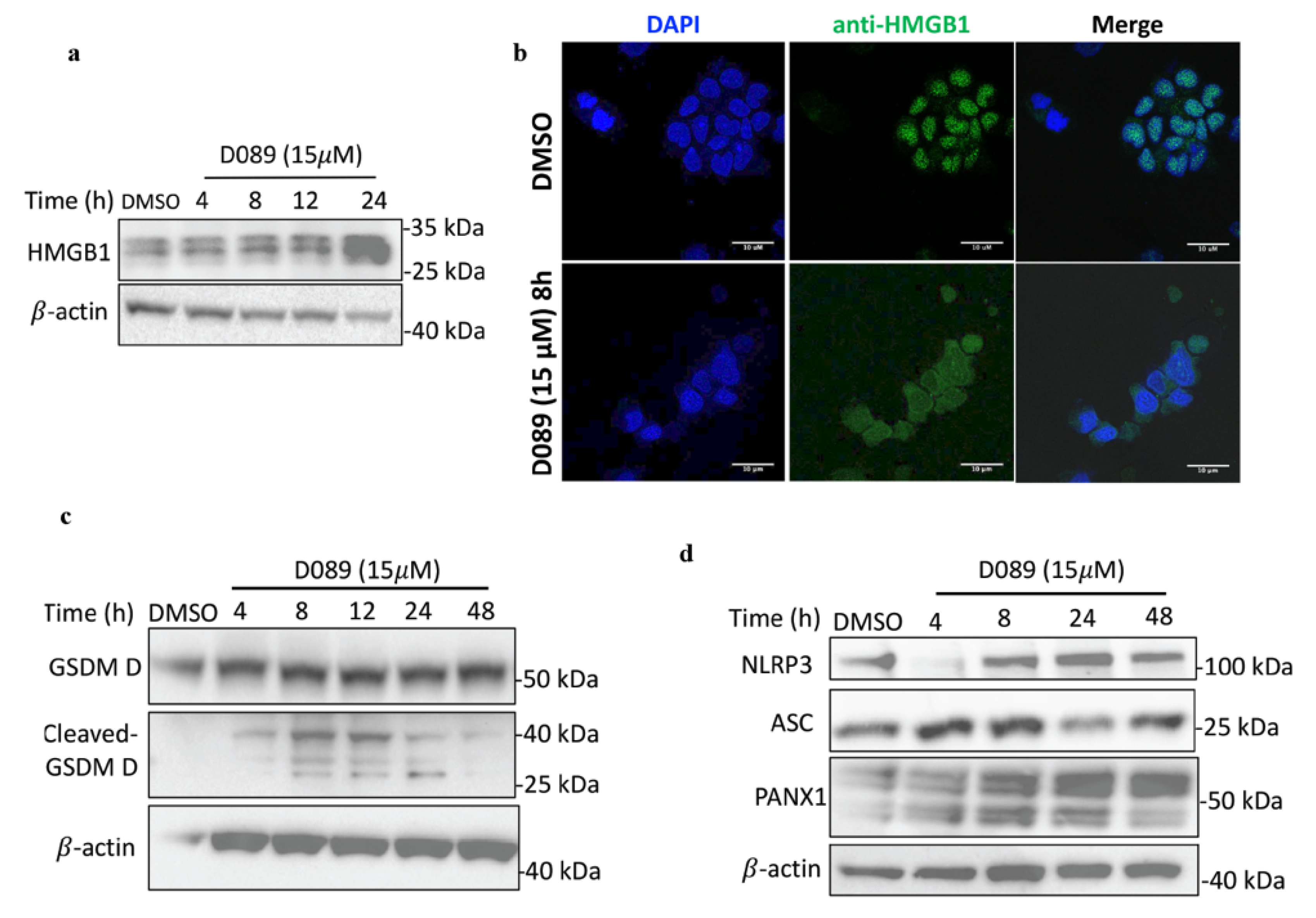 Cancers 12 02952 g005a Cancers 12 02952 g005a