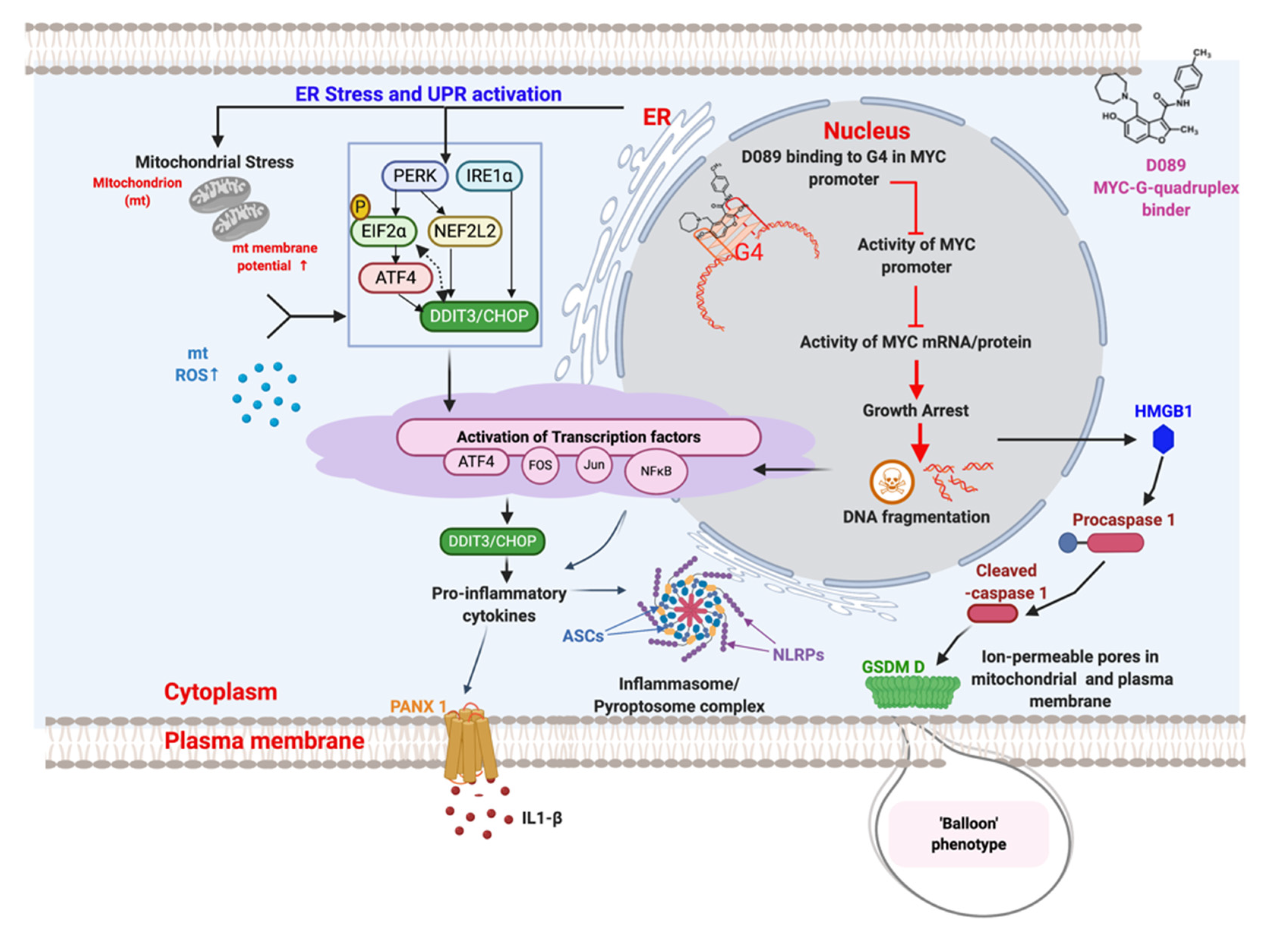 Cancers 12 02952 g007 Cancers 12 02952 g007