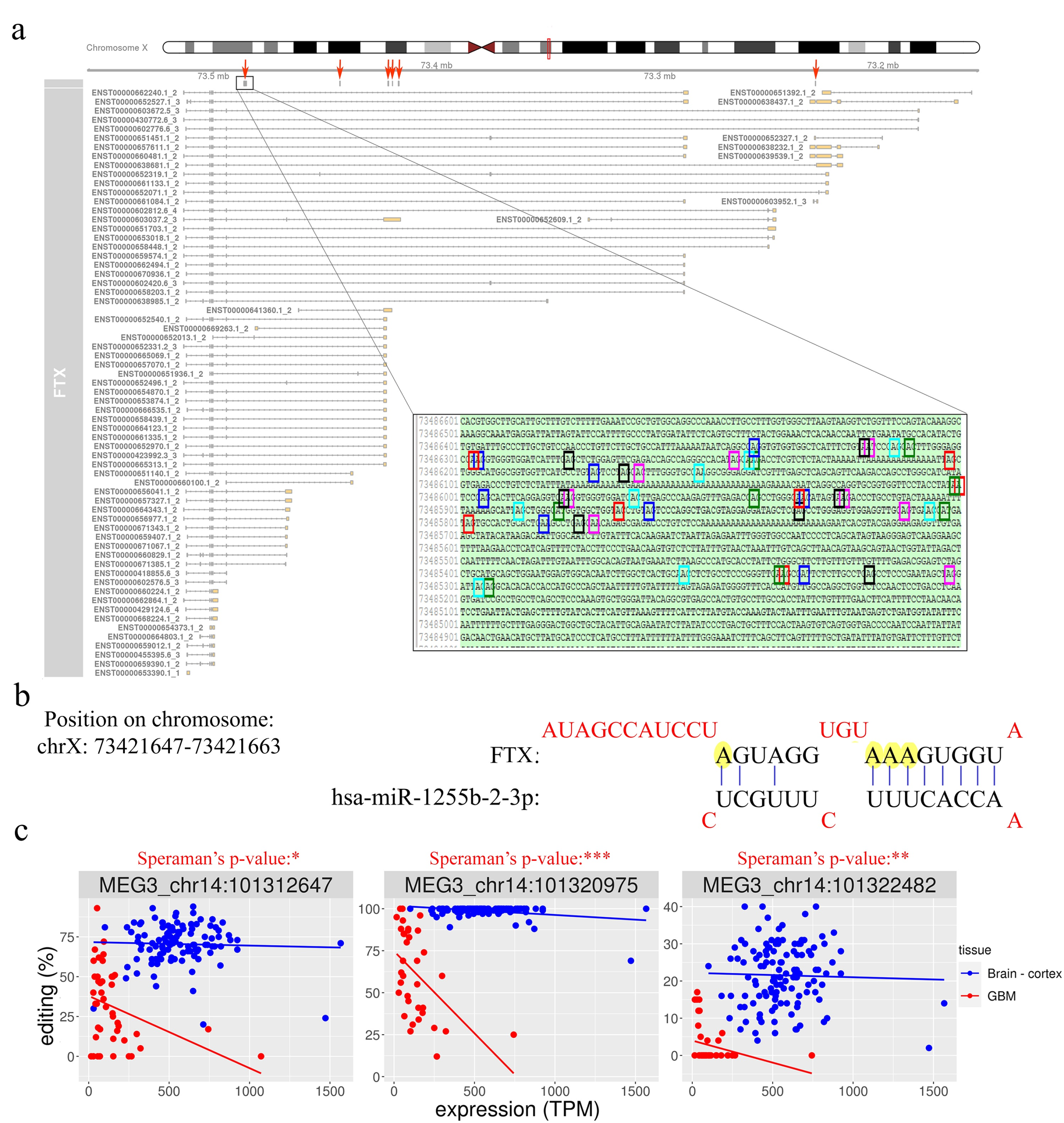 Cancers 12 02959 g005 Cancers 12 02959 g005