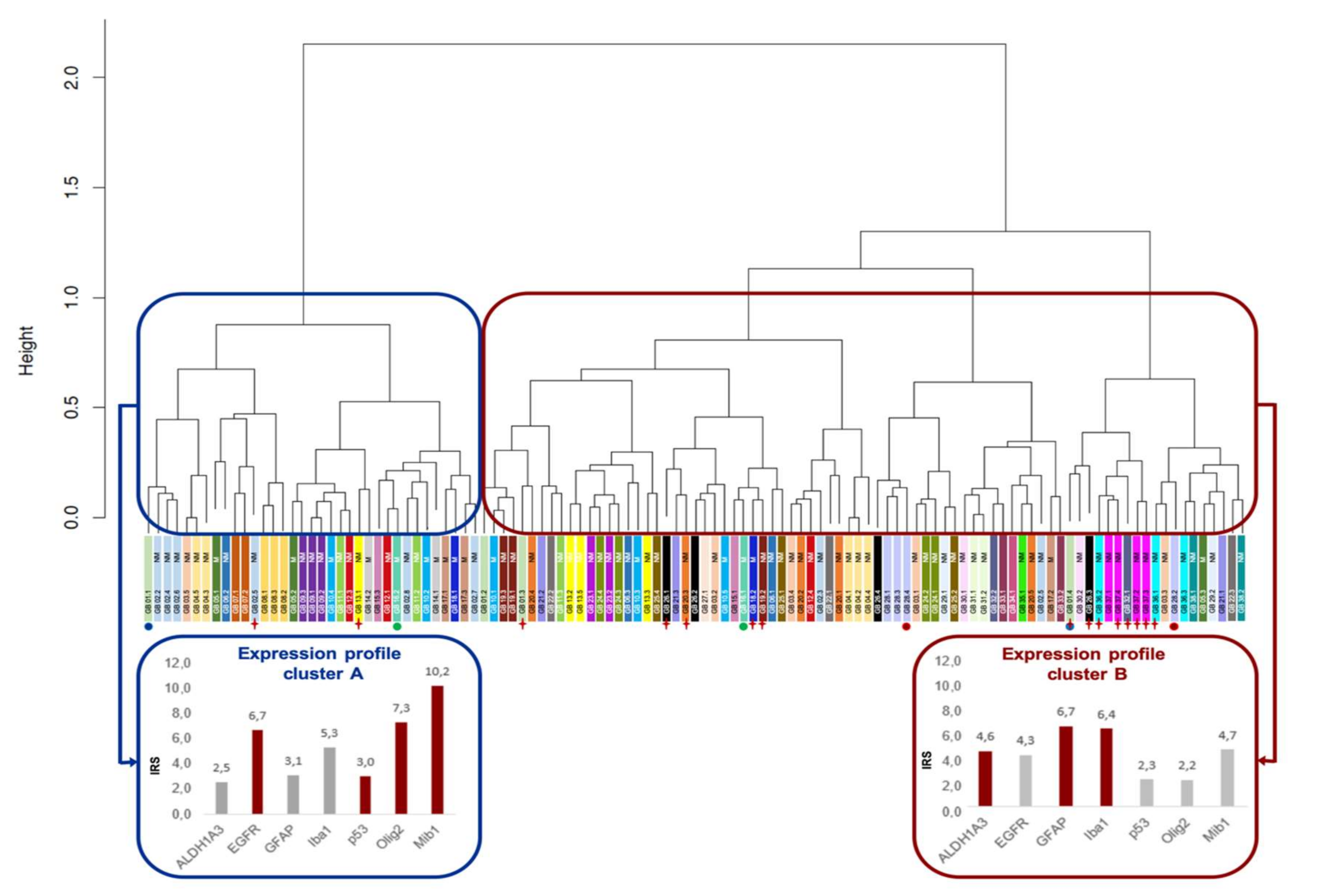 Cancers 12 02964 g002 Cancers 12 02964 g002