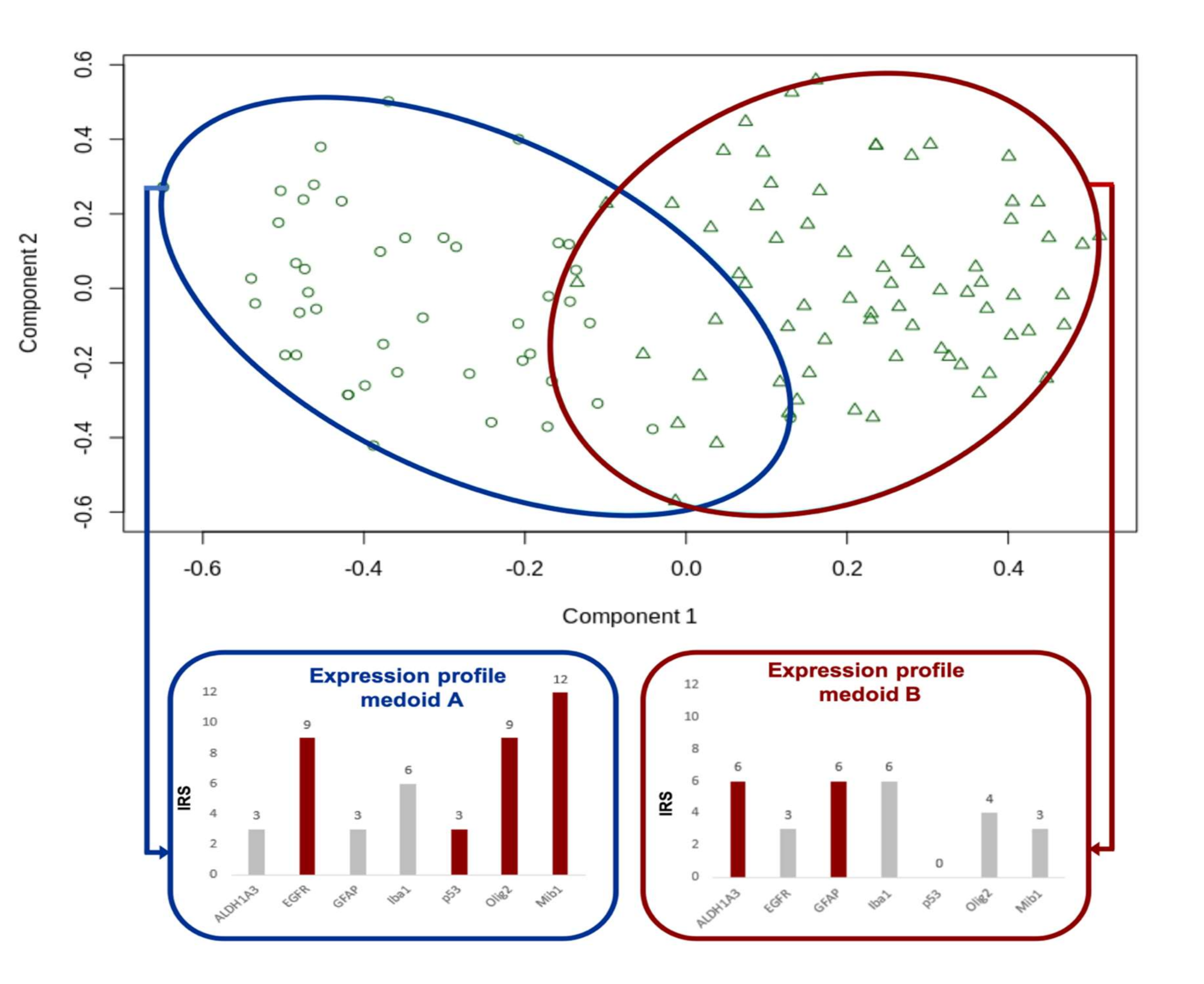 Cancers 12 02964 g003 Cancers 12 02964 g003