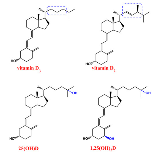 Cancers Free Full Text Understanding The Biological Activities Of Vitamin D In Type 1 Neurofibromatosis New Insights Into Disease Pathogenesis And Therapeutic Design Html