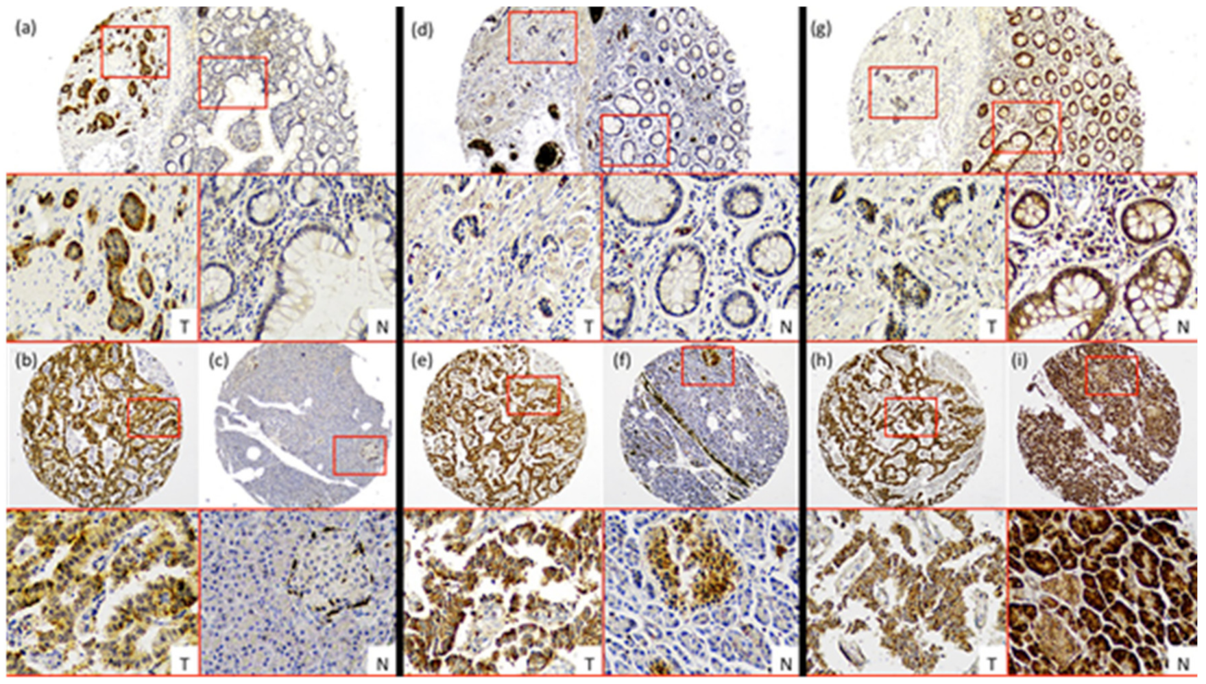 Cancers 12 02968 g001