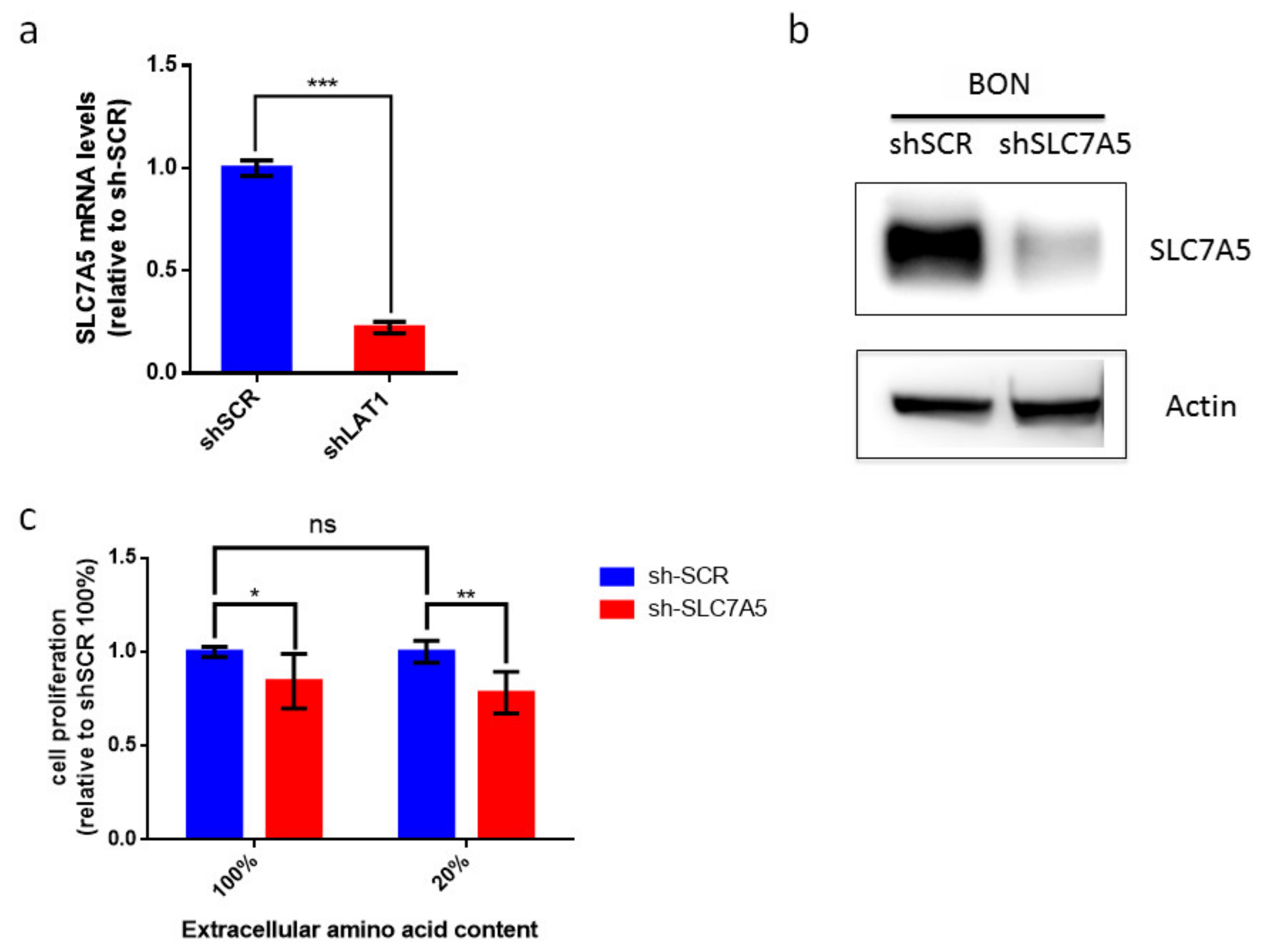 Cancers Free Full Text Lat 1 And Glut 1 Carrier Expression And Its Prognostic Value In Gastroenteropancreatic Neuroendocrine Tumors lat 1 and glut 1 carrier expression and