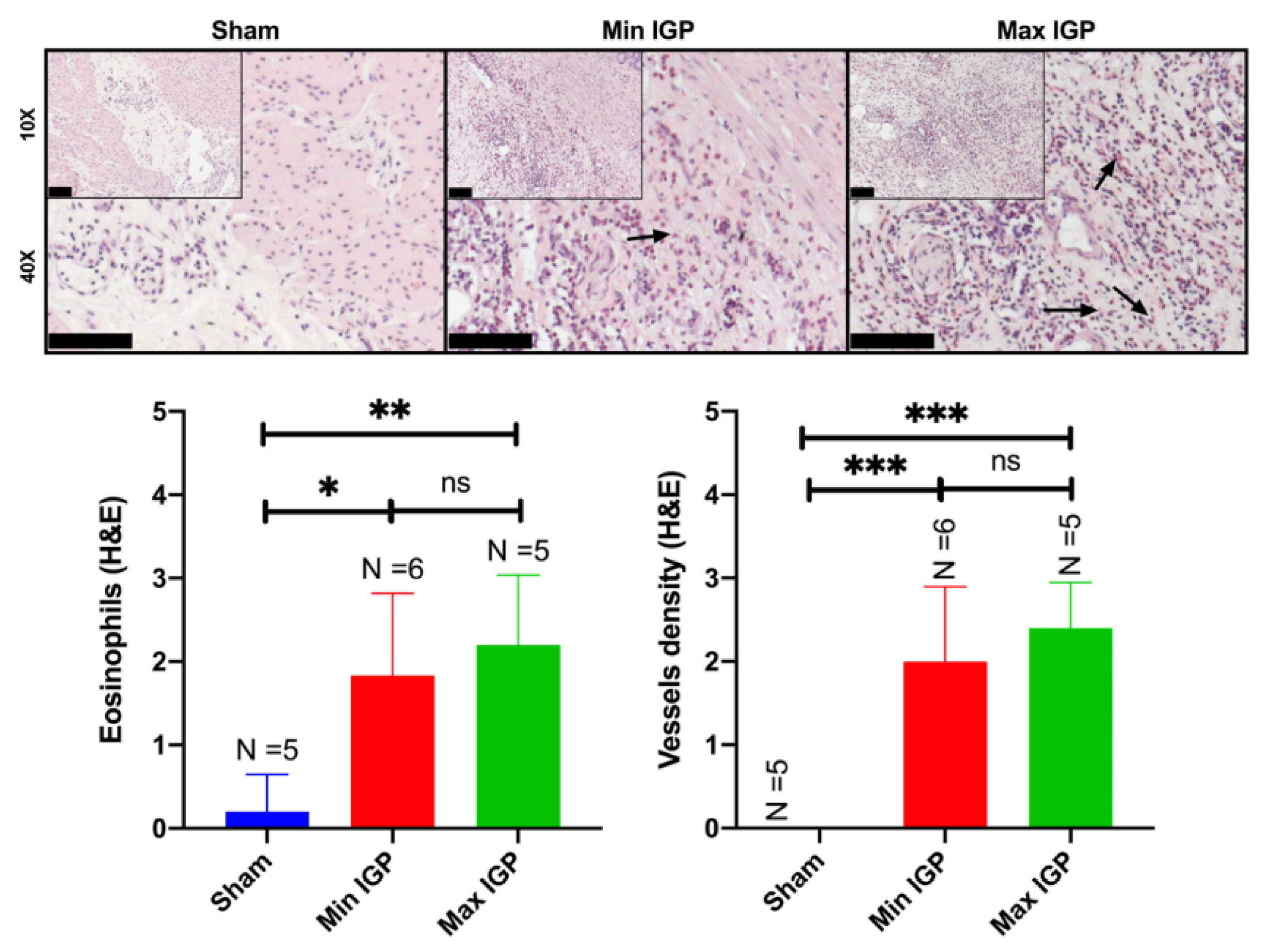 Cancers 12 02977 g003