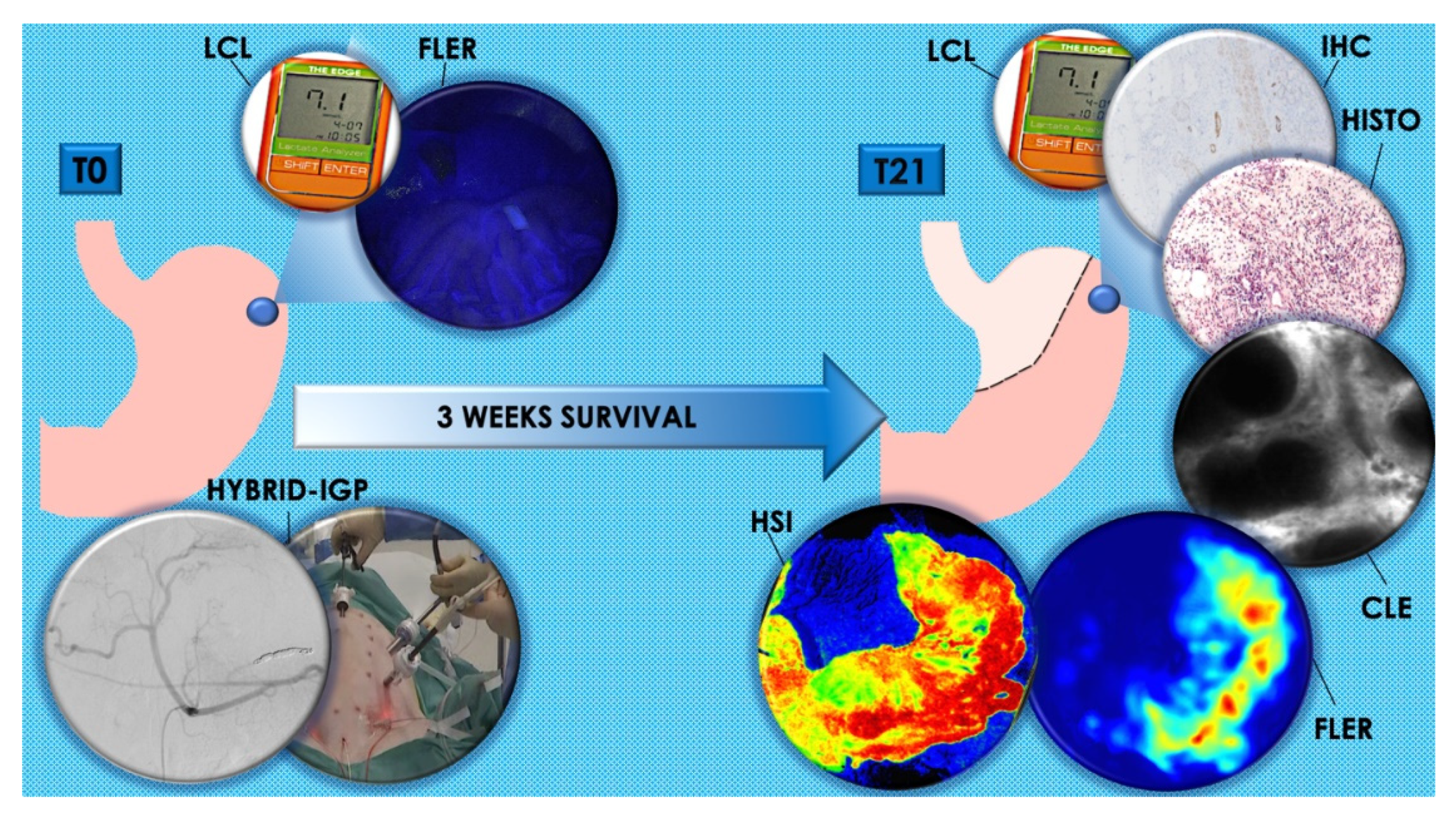 Cancers 12 02977 g005