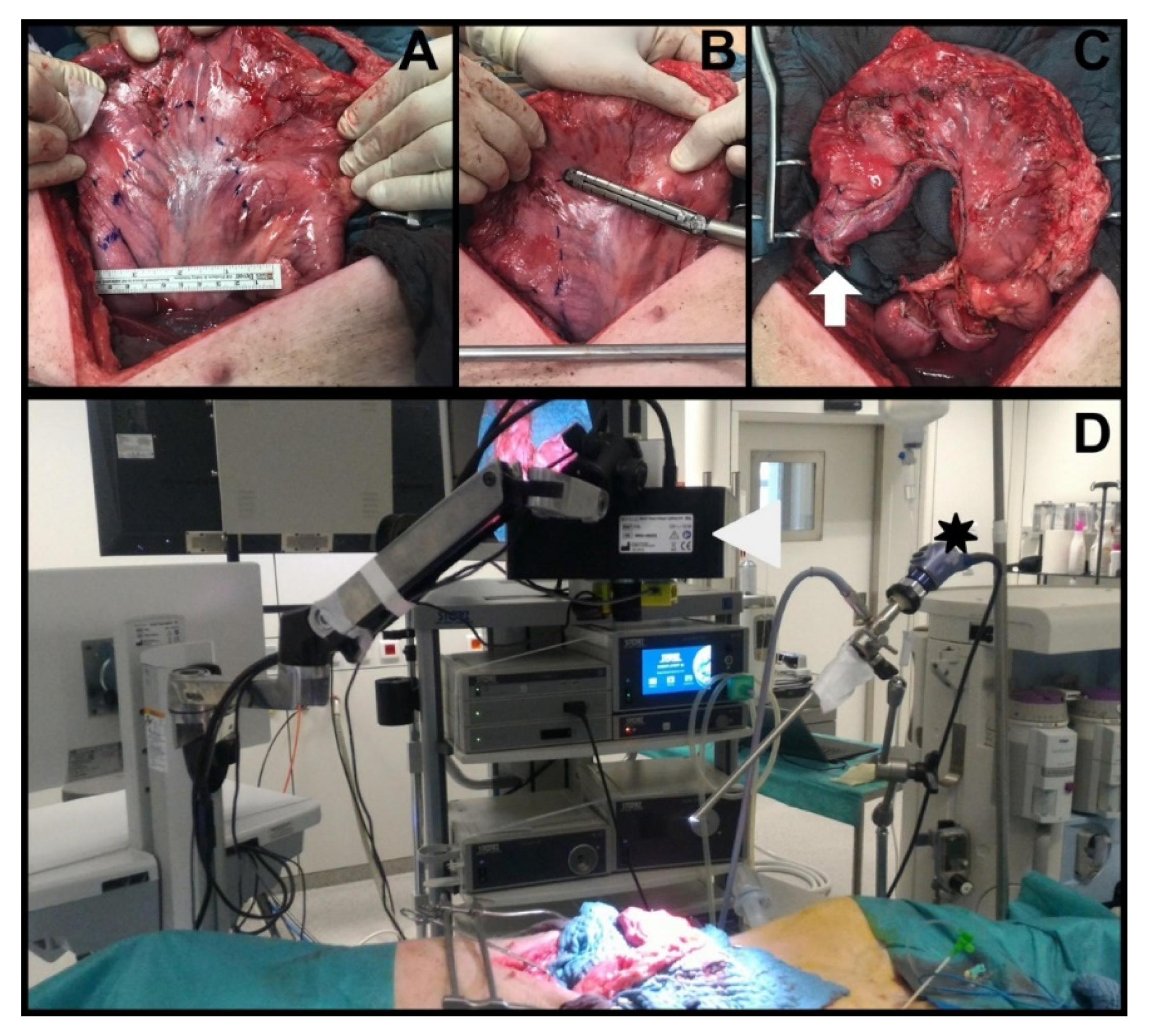 Cancers 12 02977 g006