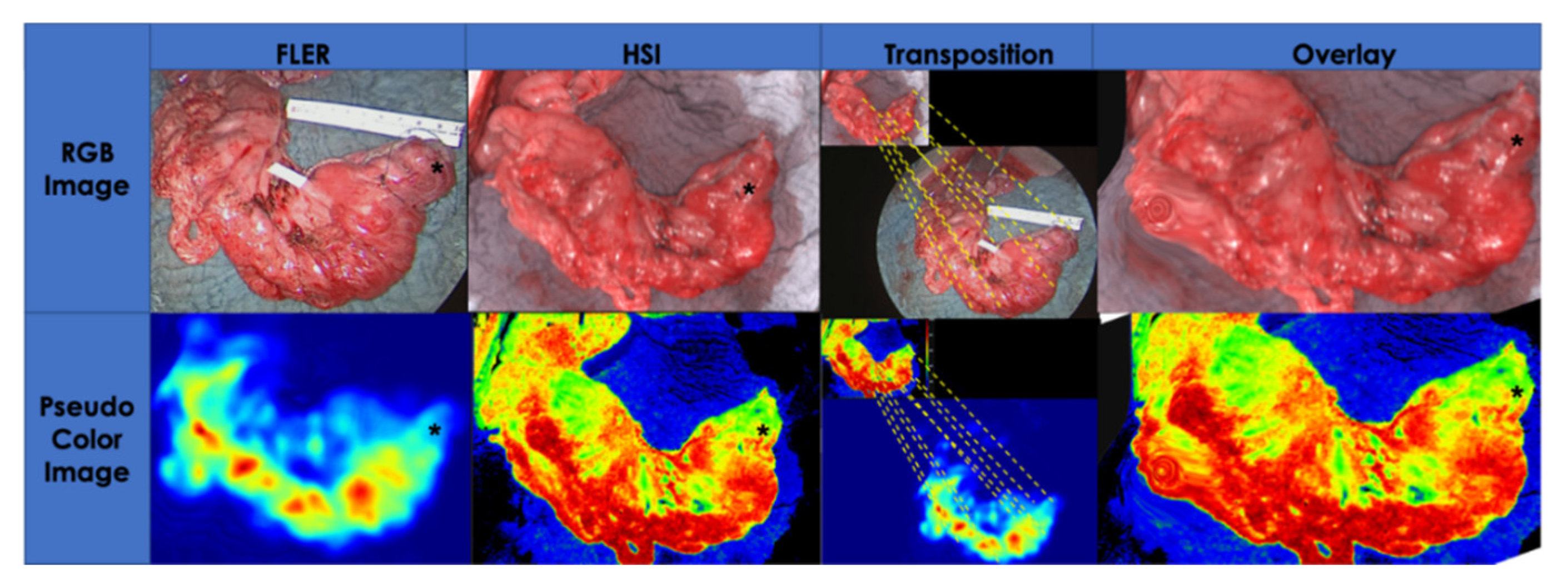 Cancers 12 02977 g007