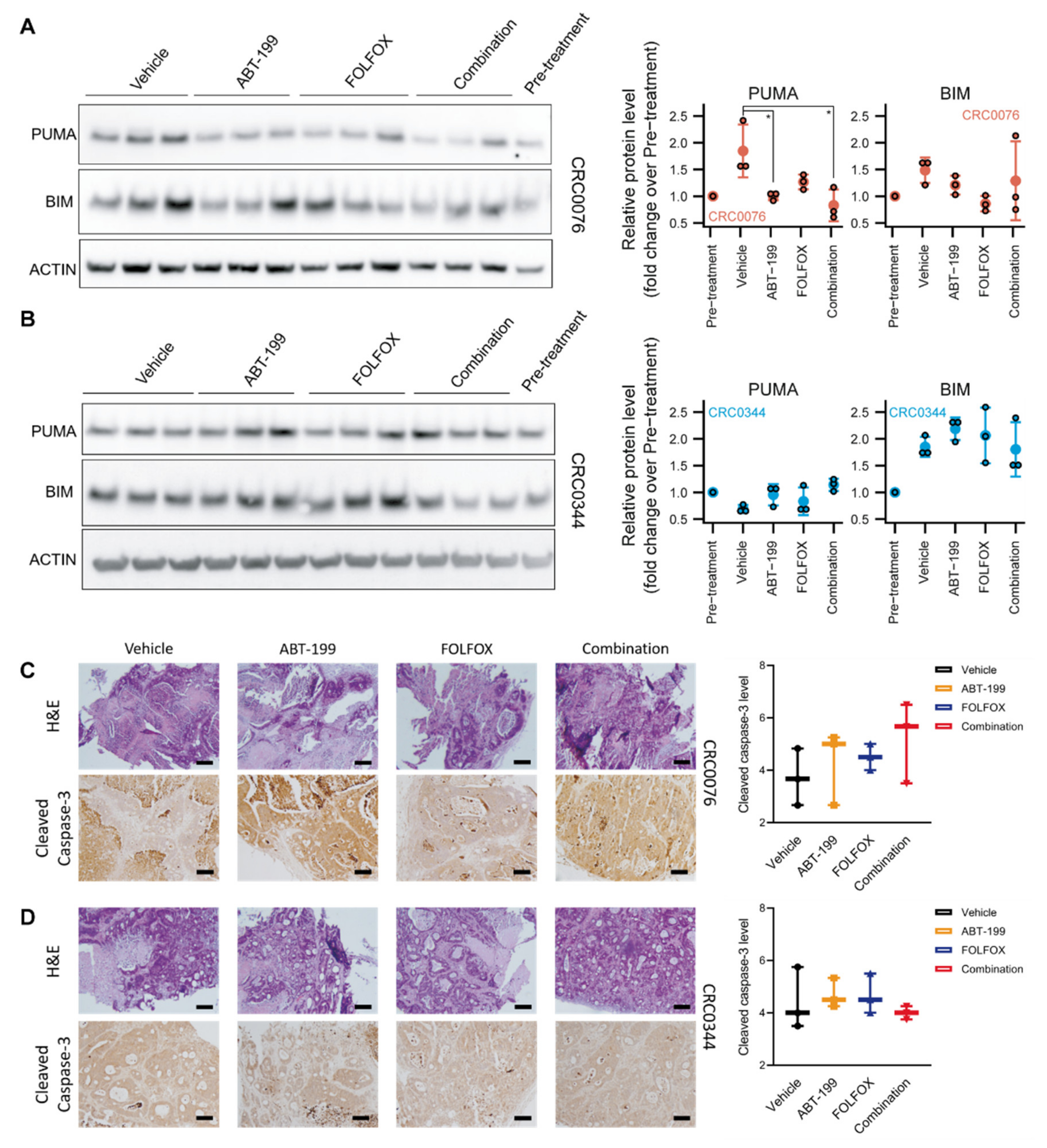 Cancers 12 02978 g003