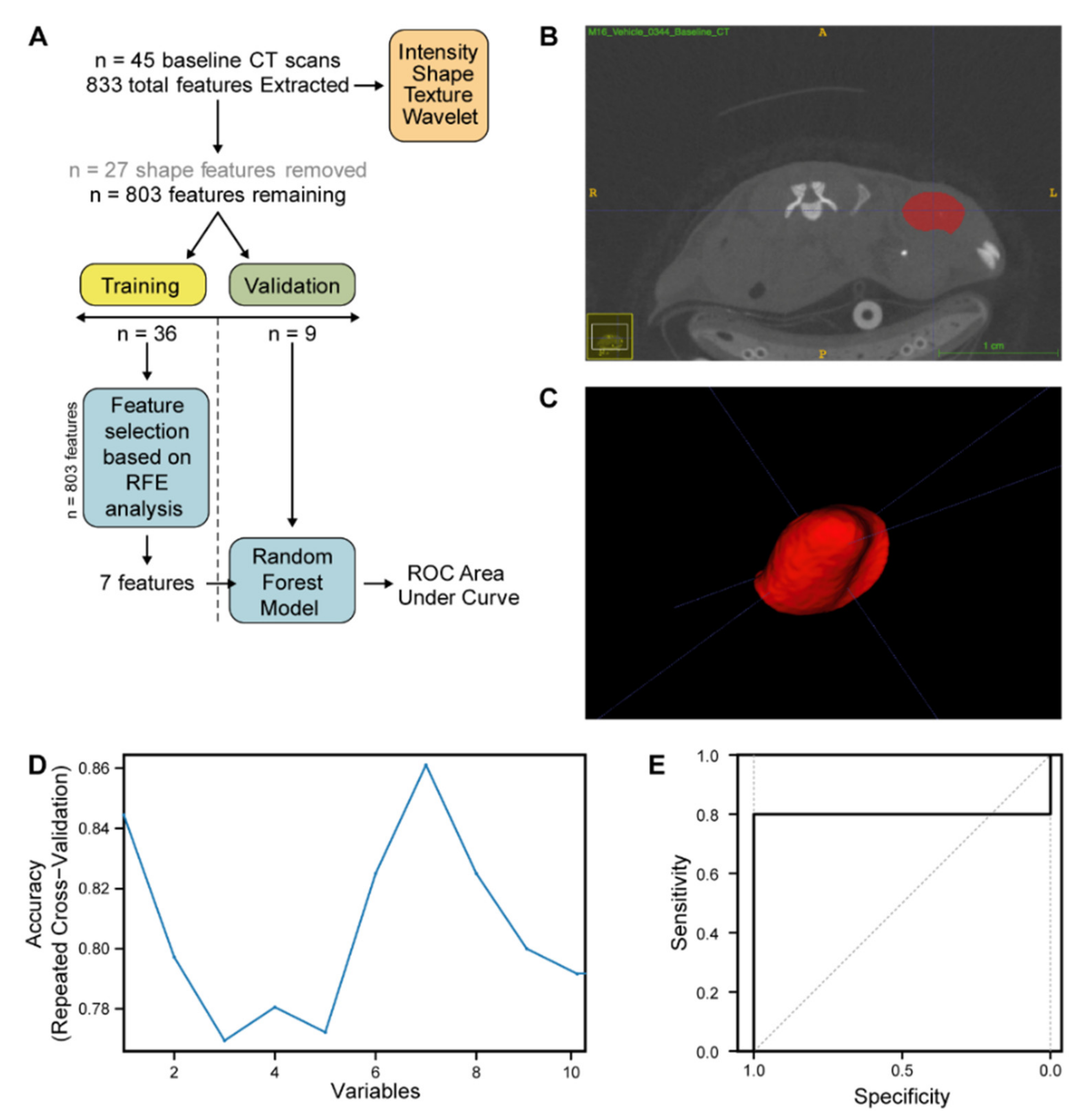 Cancers 12 02978 g005