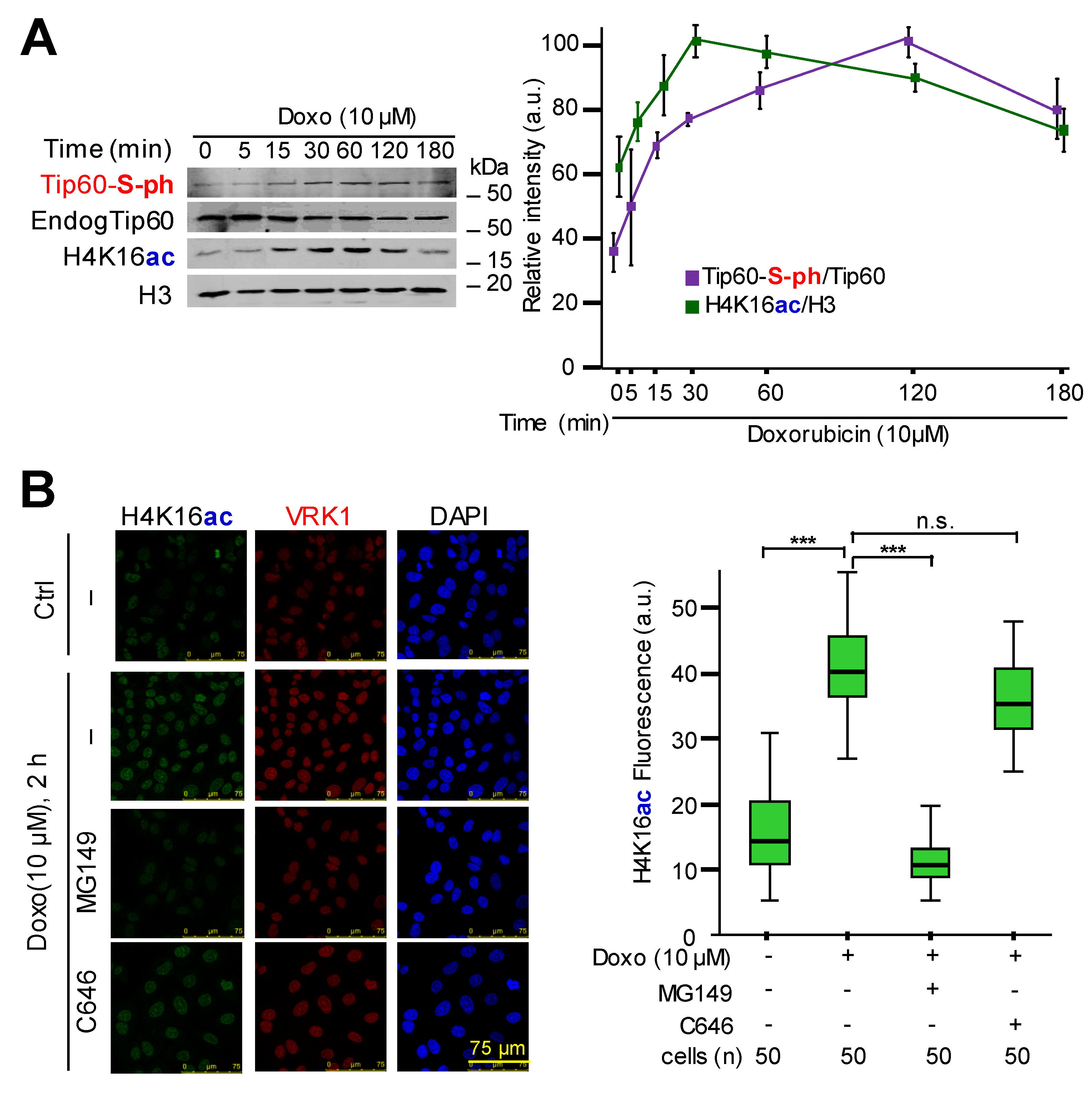 Cancers 12 02986 g001