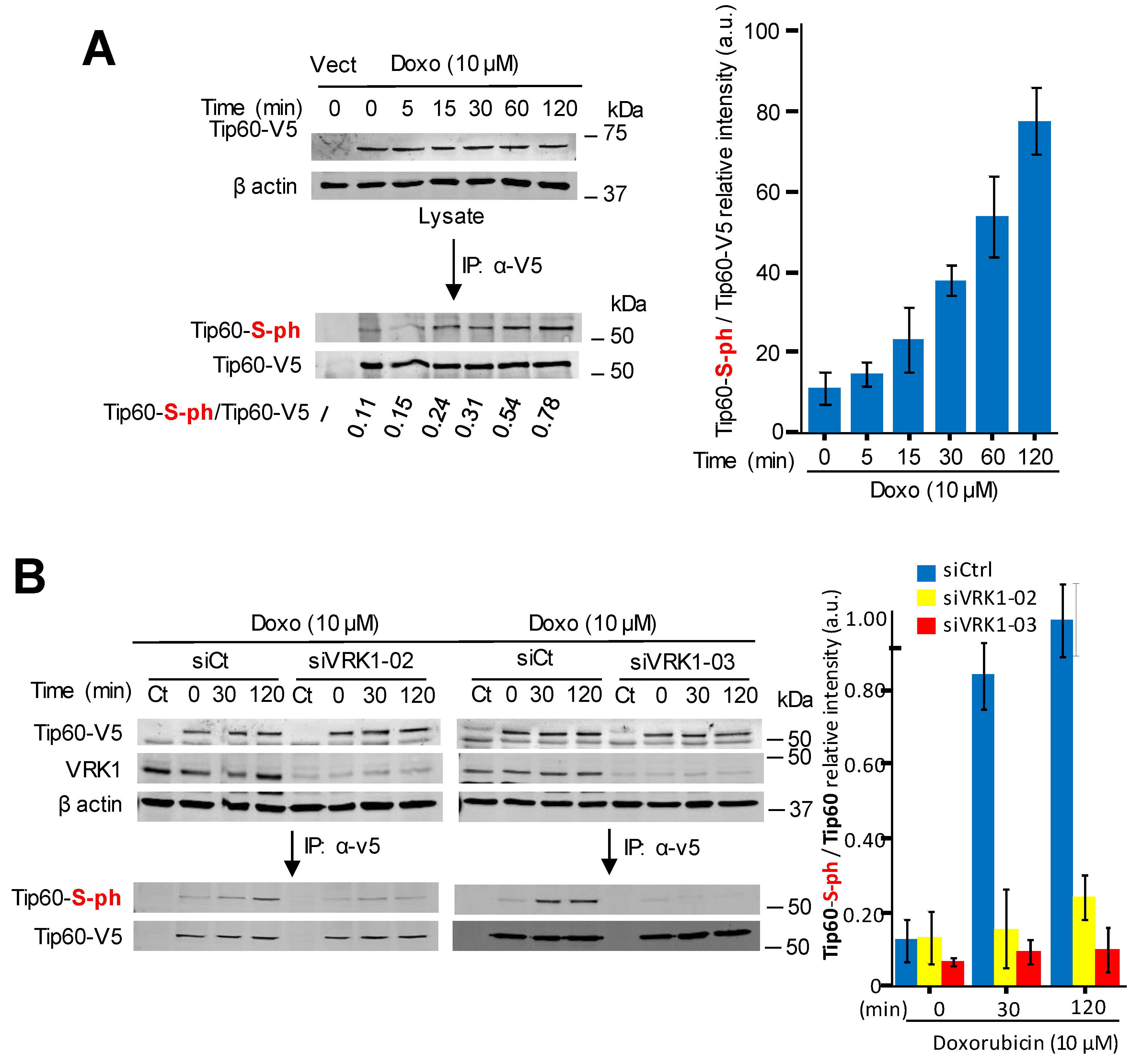 Cancers 12 02986 g006