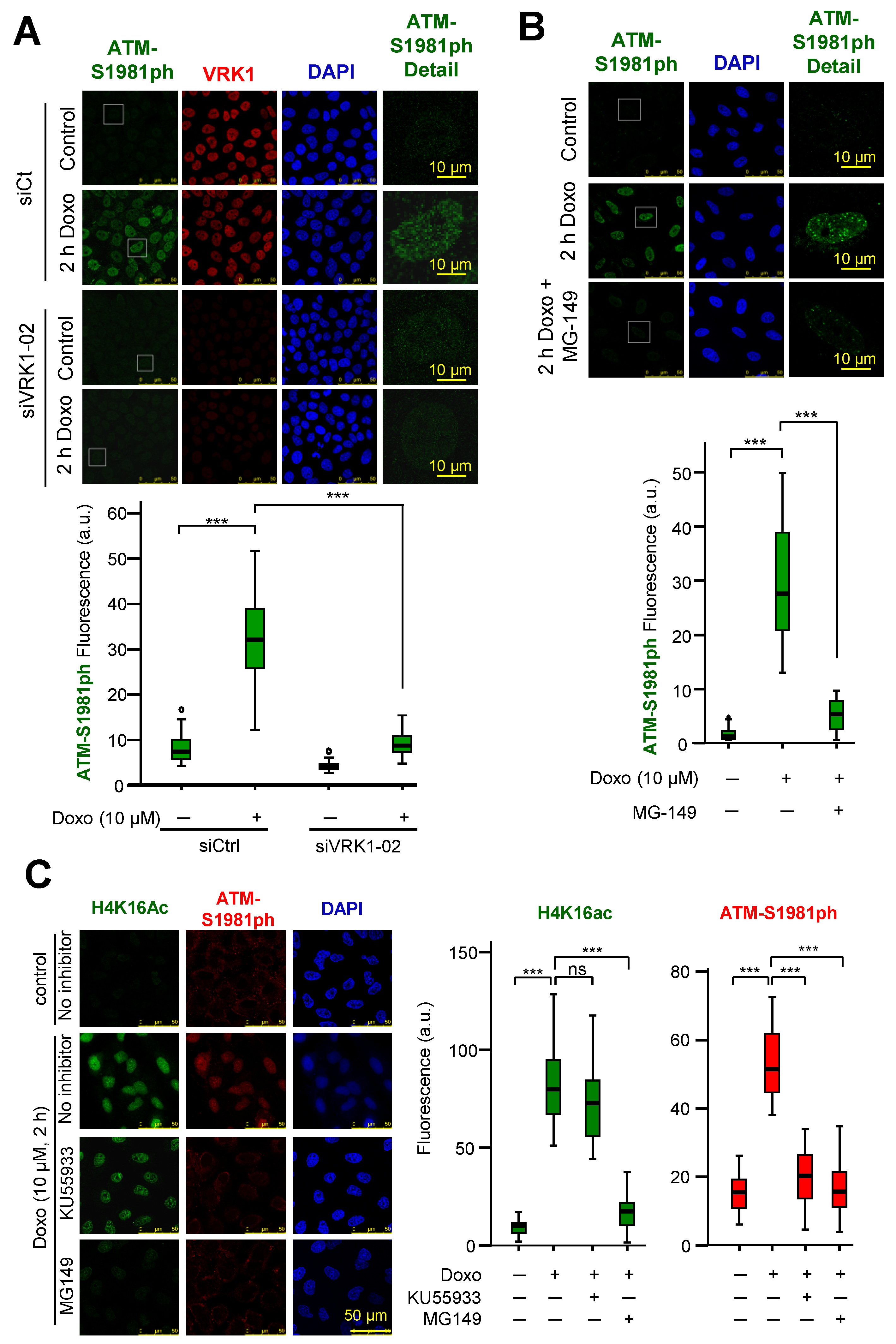 Cancers 12 02986 g008