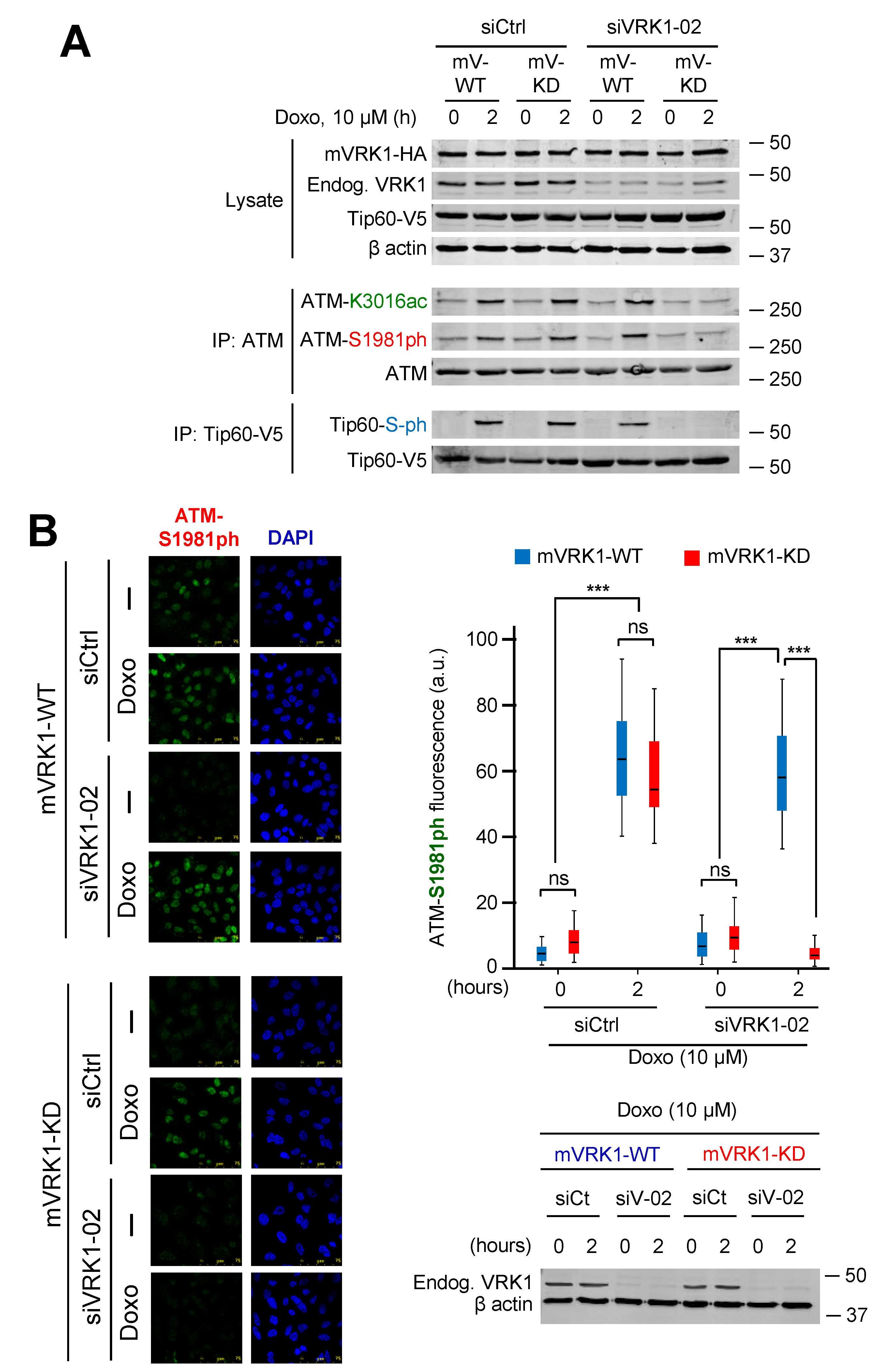 Cancers 12 02986 g009