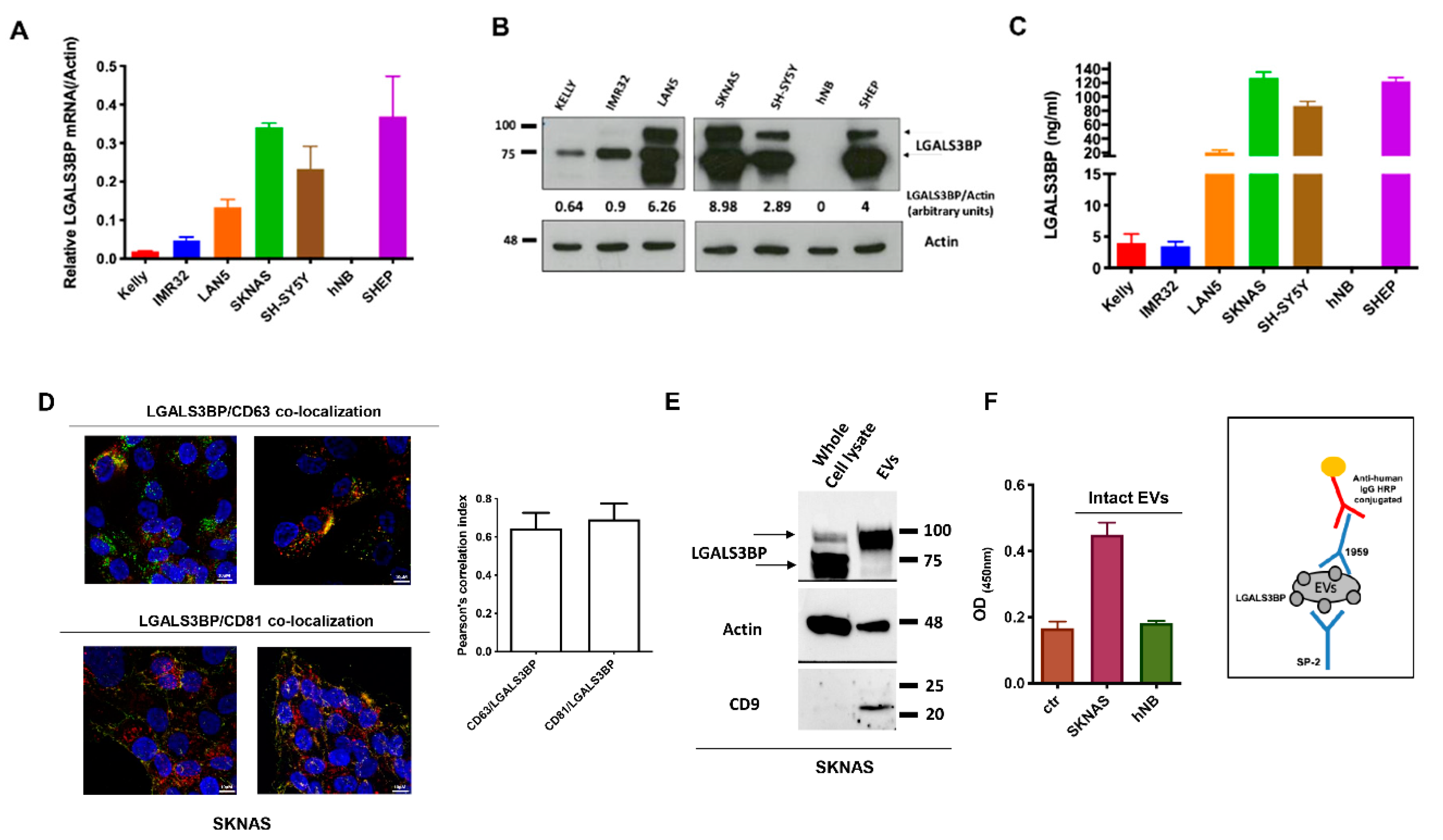 Cancers 12 02989 g001 Cancers 12 02989 g001