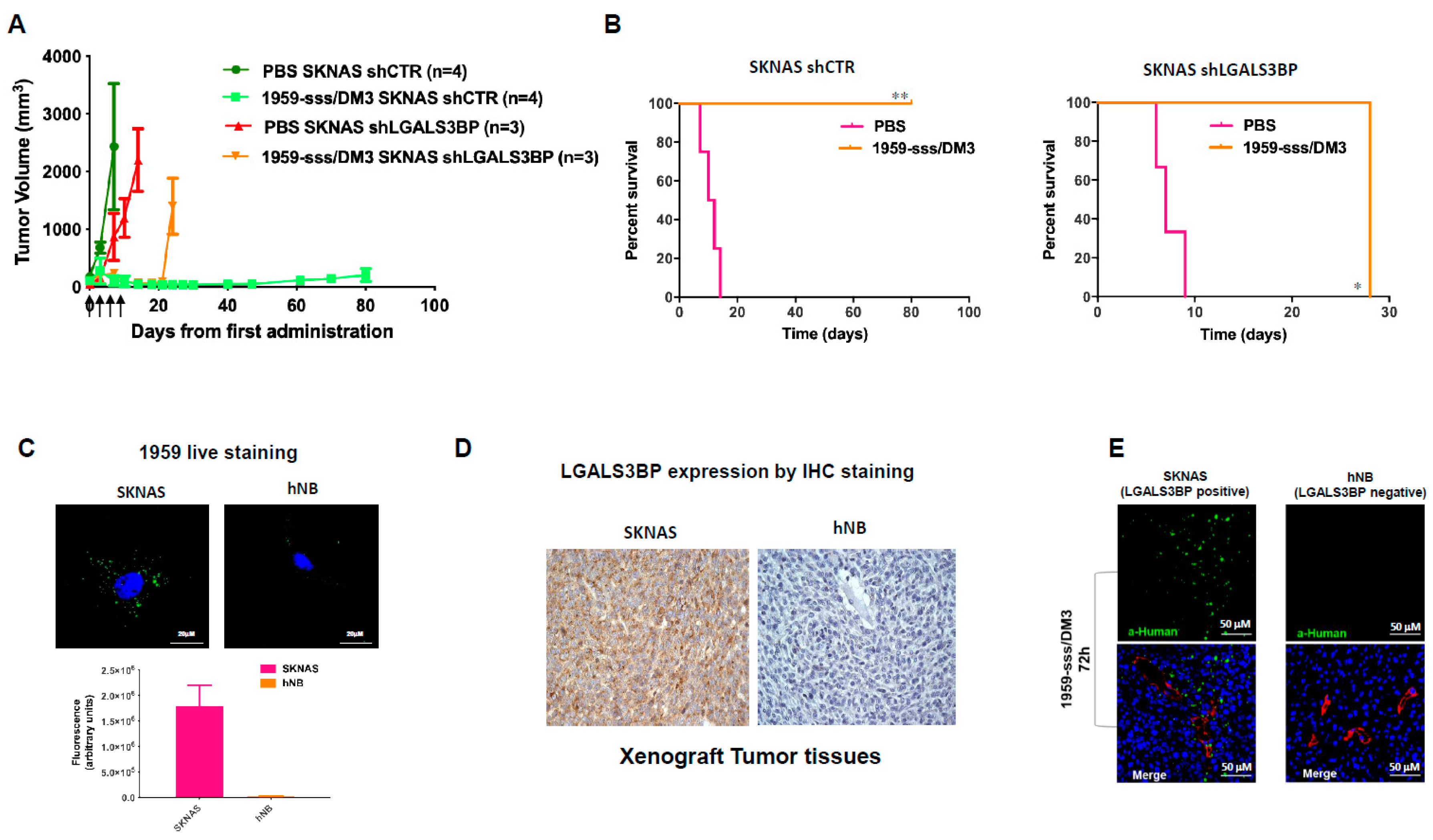 Cancers 12 02989 g002 Cancers 12 02989 g002