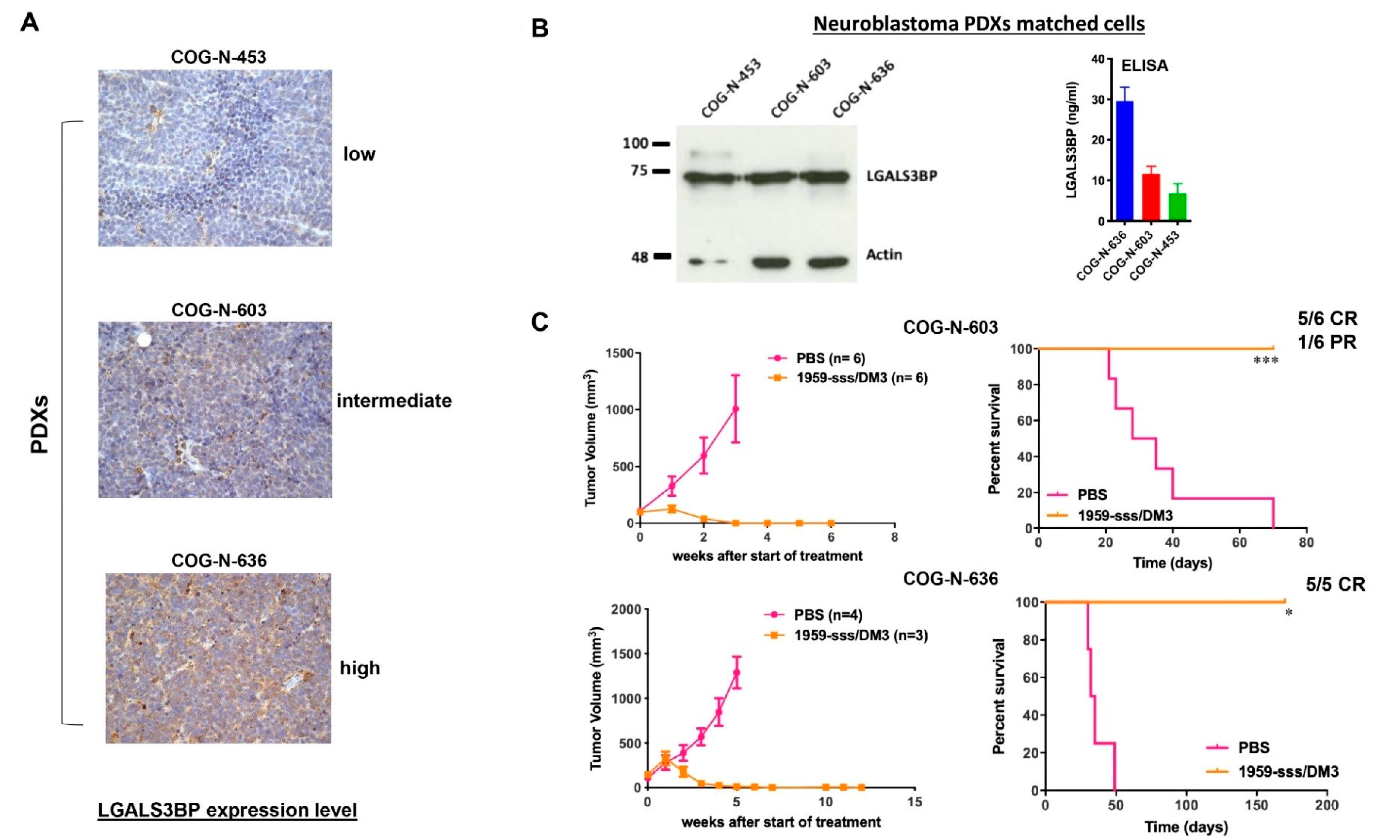 Cancers 12 02989 g004 Cancers 12 02989 g004