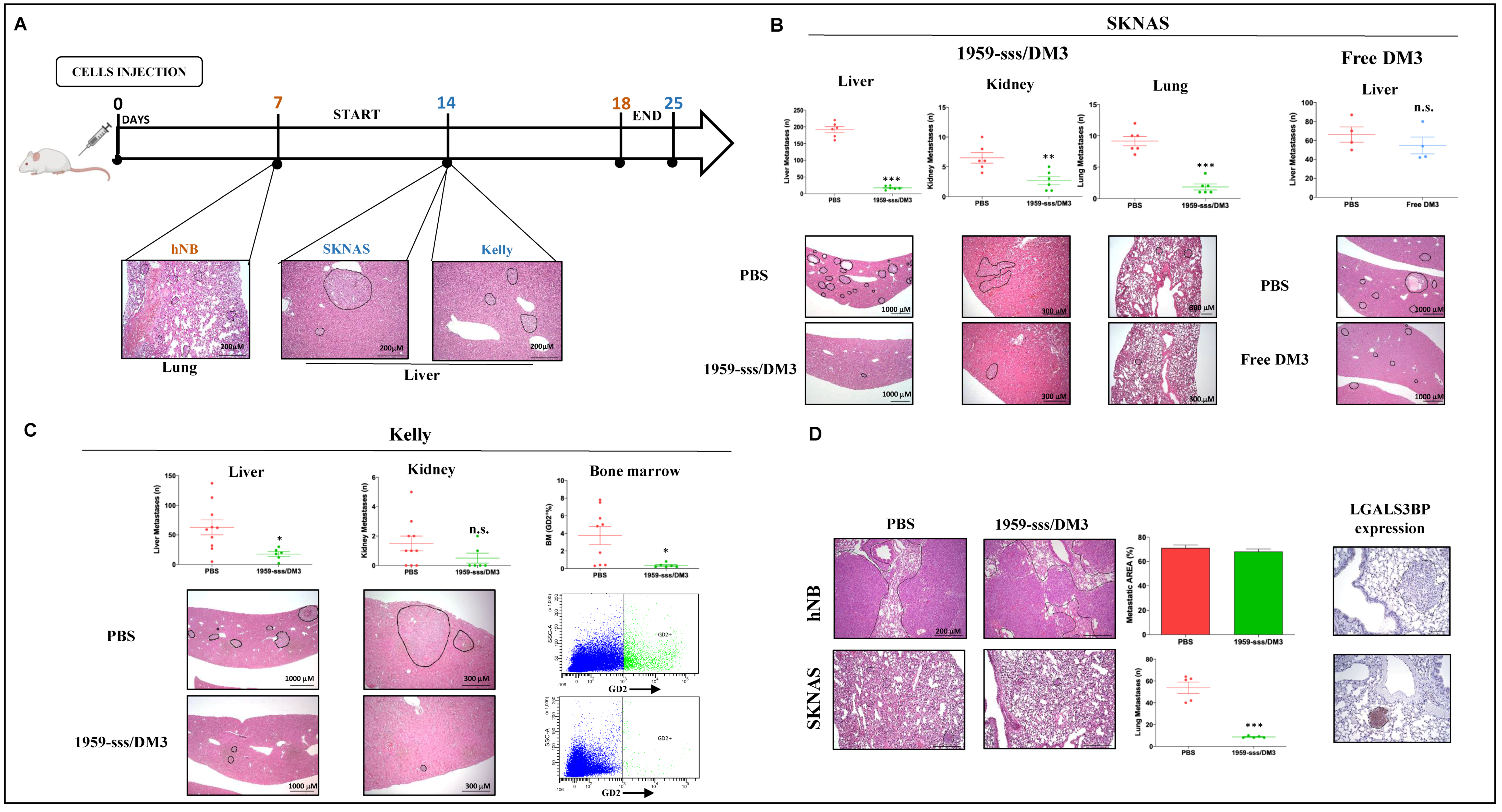 Cancers 12 02989 g005 Cancers 12 02989 g005