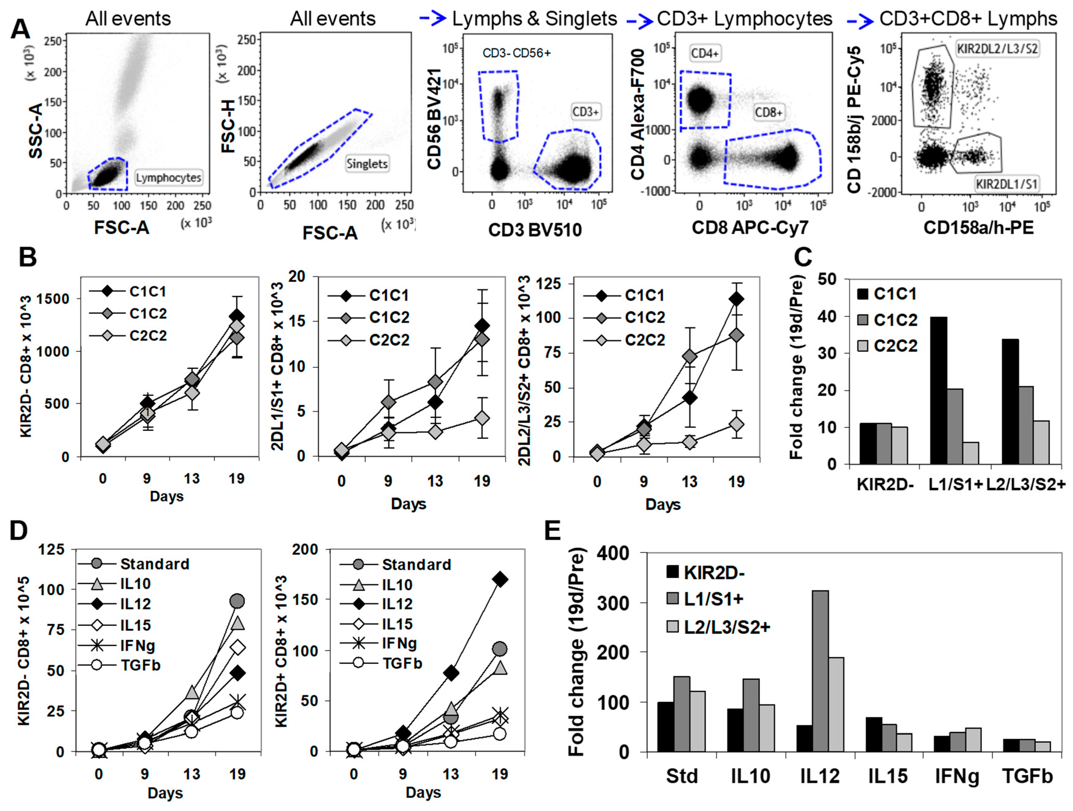 Cancers 12 02991 g004 Cancers 12 02991 g004
