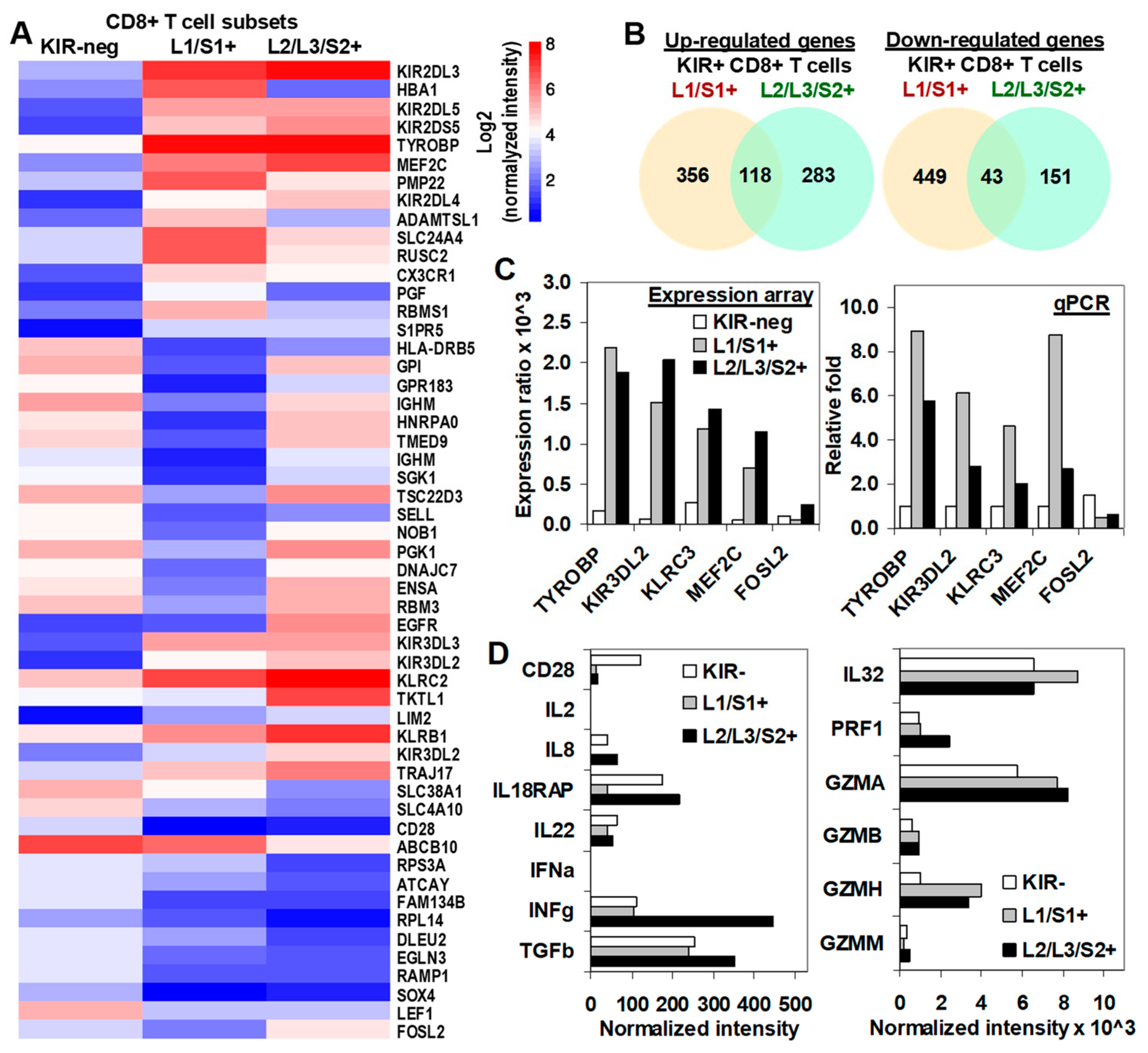 Cancers 12 02991 g005 Cancers 12 02991 g005