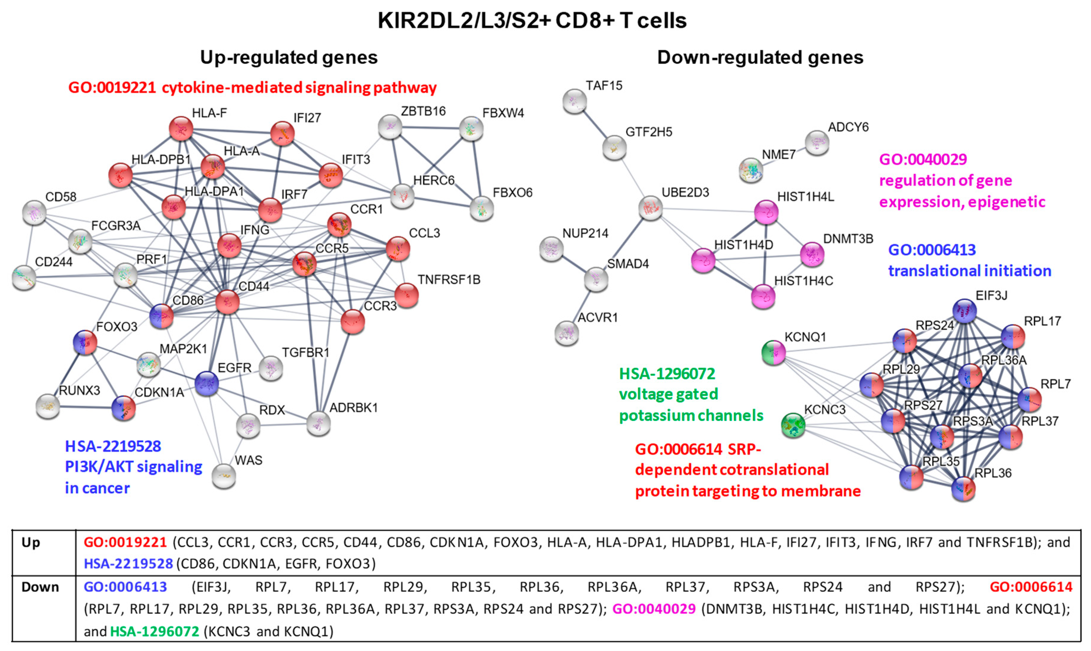 Cancers 12 02991 g008 Cancers 12 02991 g008