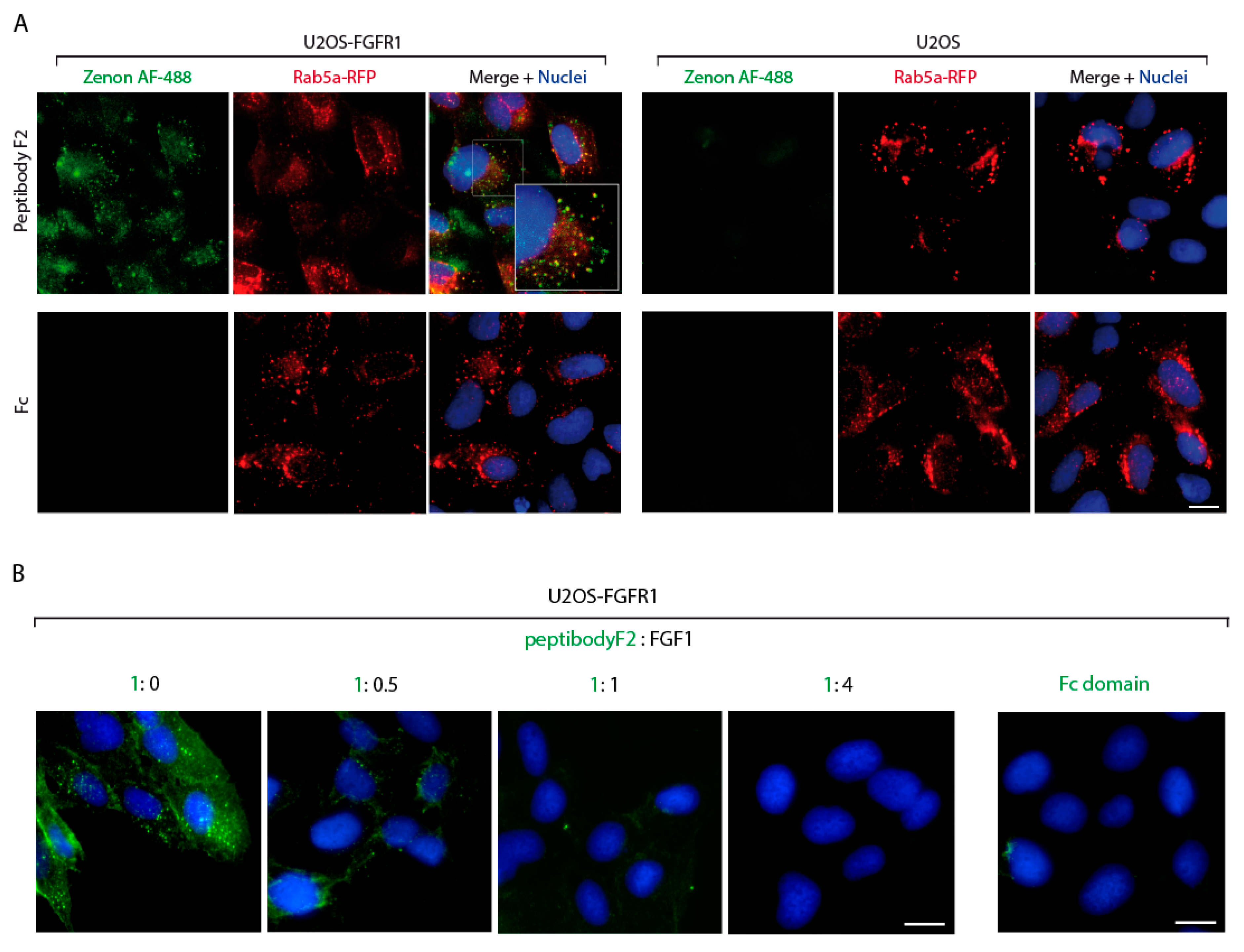 Cancers 12 02992 g004