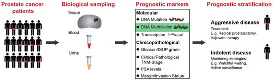 HyperQCM_Clinique hematologie