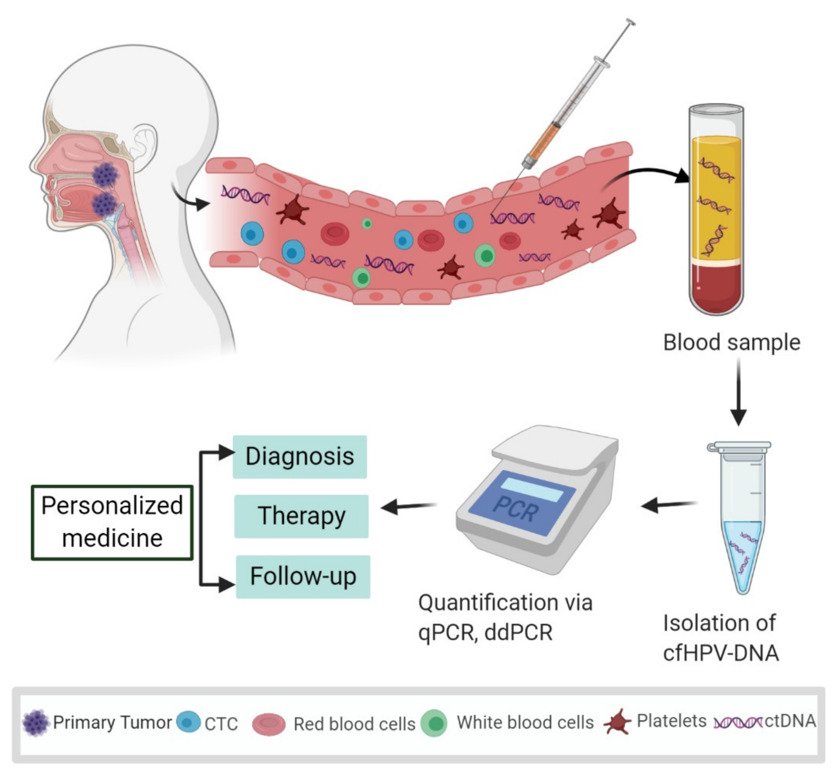 Human papillomavirus detection,