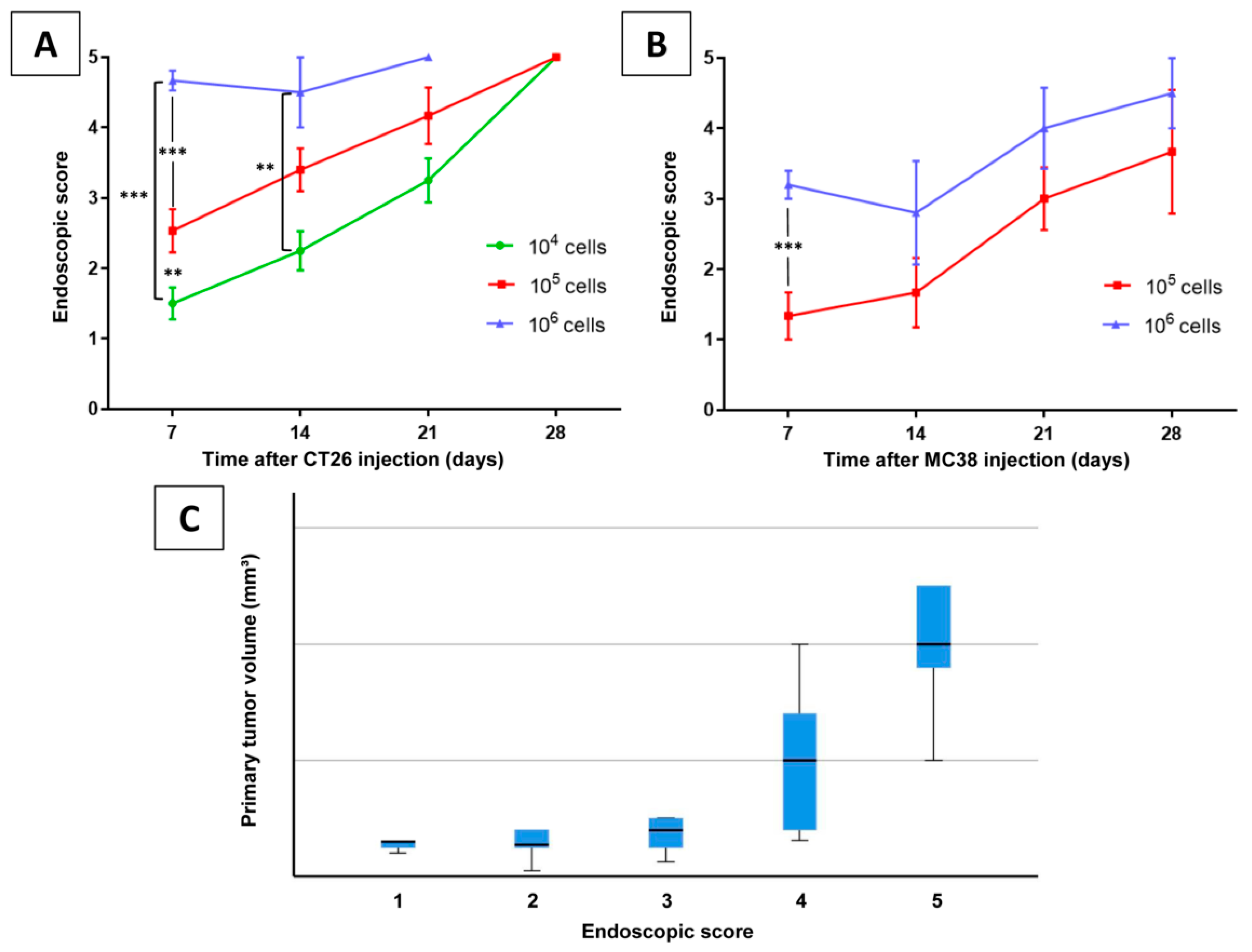 Cancers 12 03007 g003 Cancers 12 03007 g003