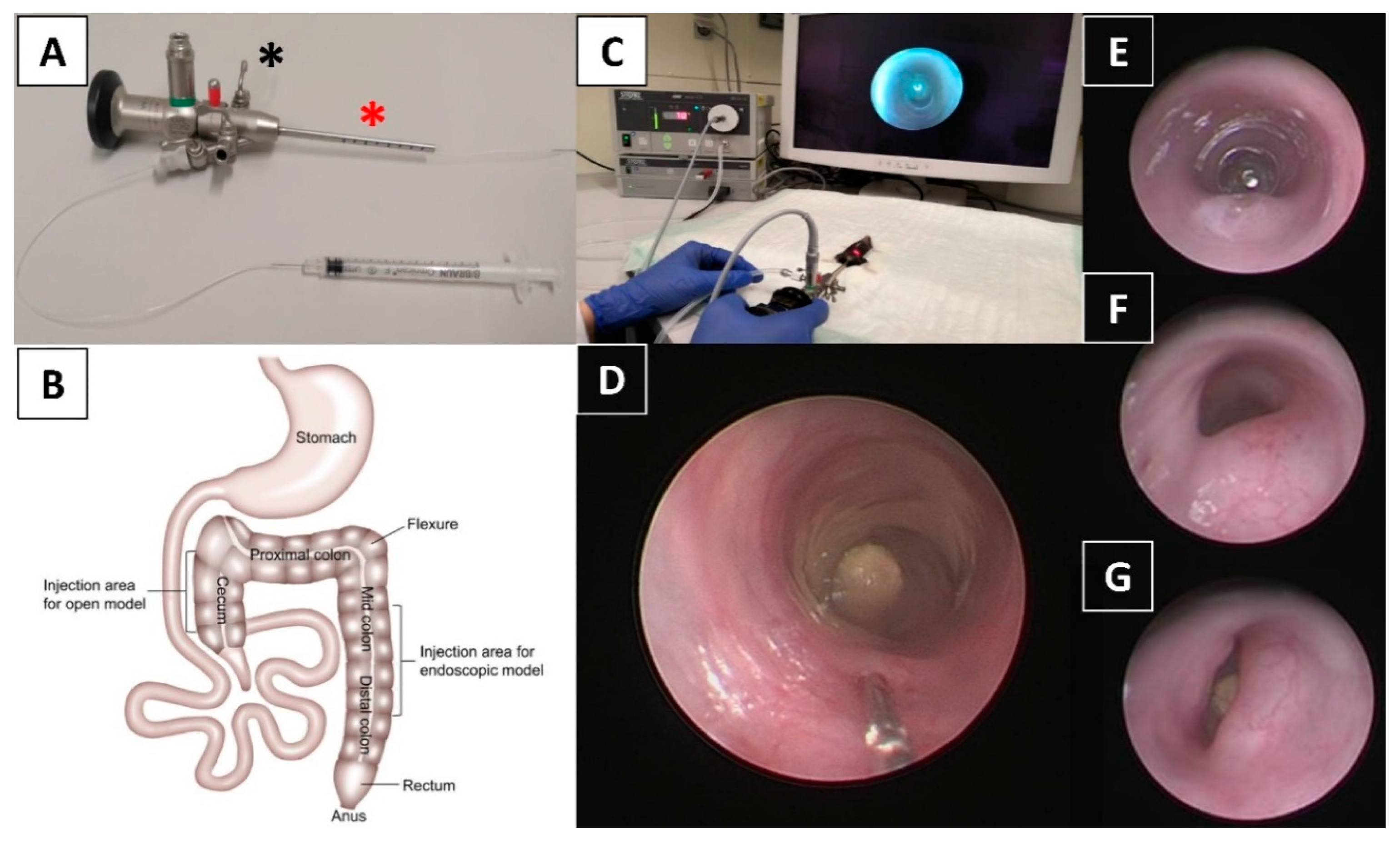 Cancers 12 03007 g006 Cancers 12 03007 g006