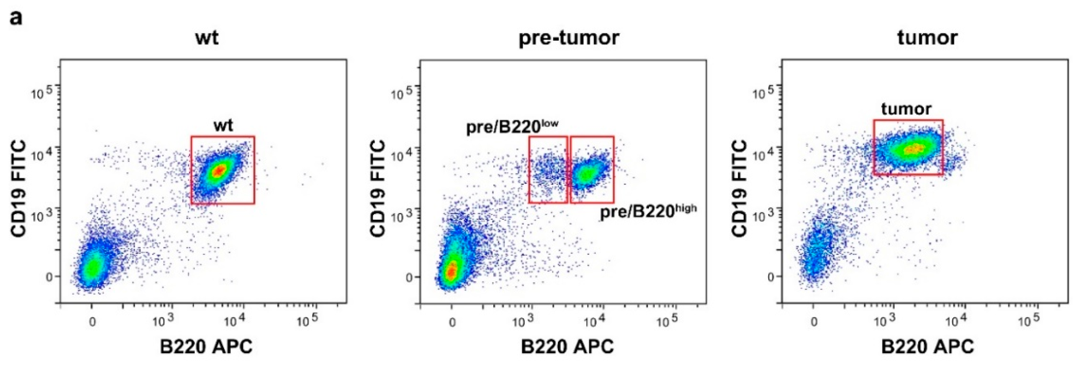 Cancers 12 03009 g001a