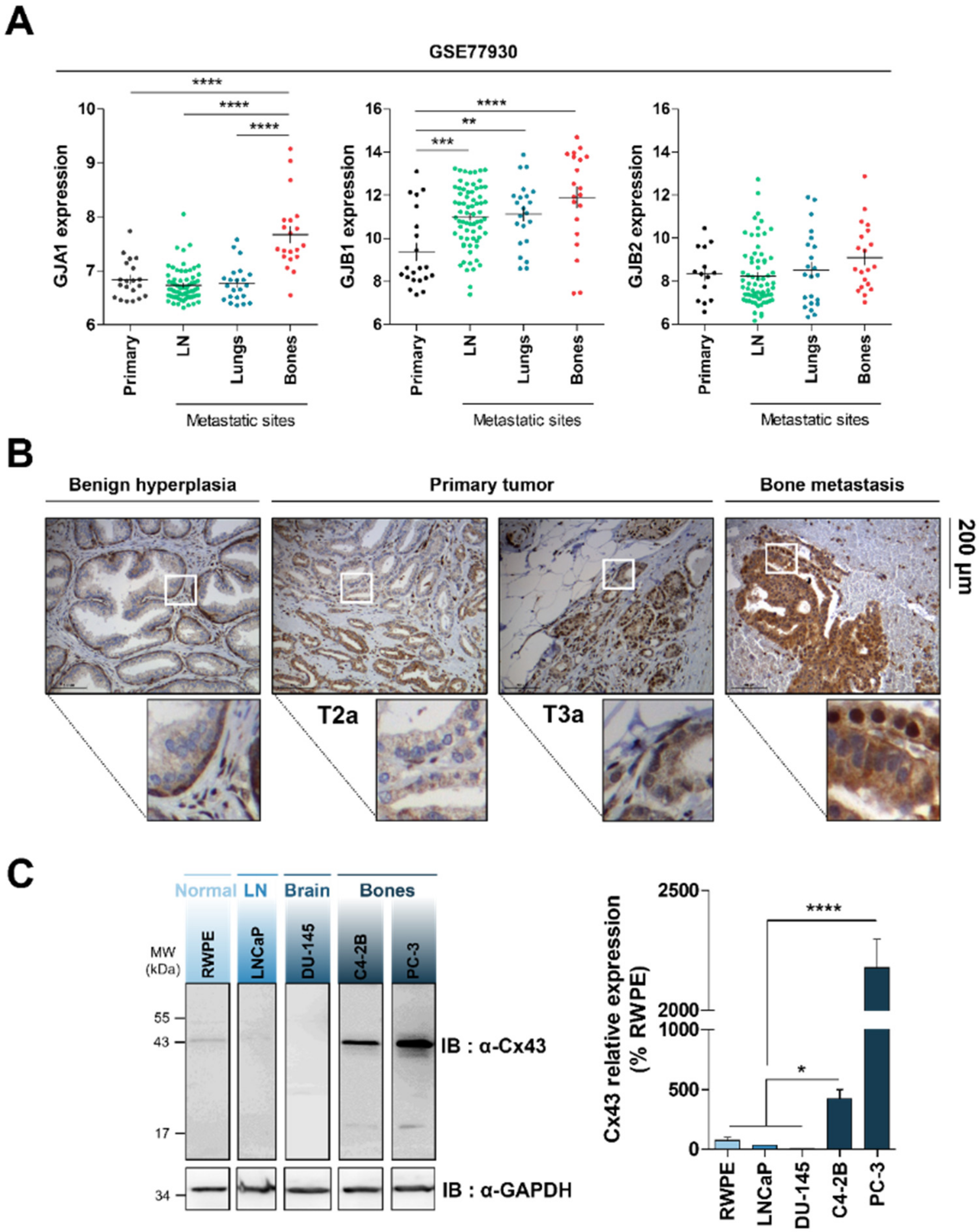 Cancers 12 03013 g001 Cancers 12 03013 g001