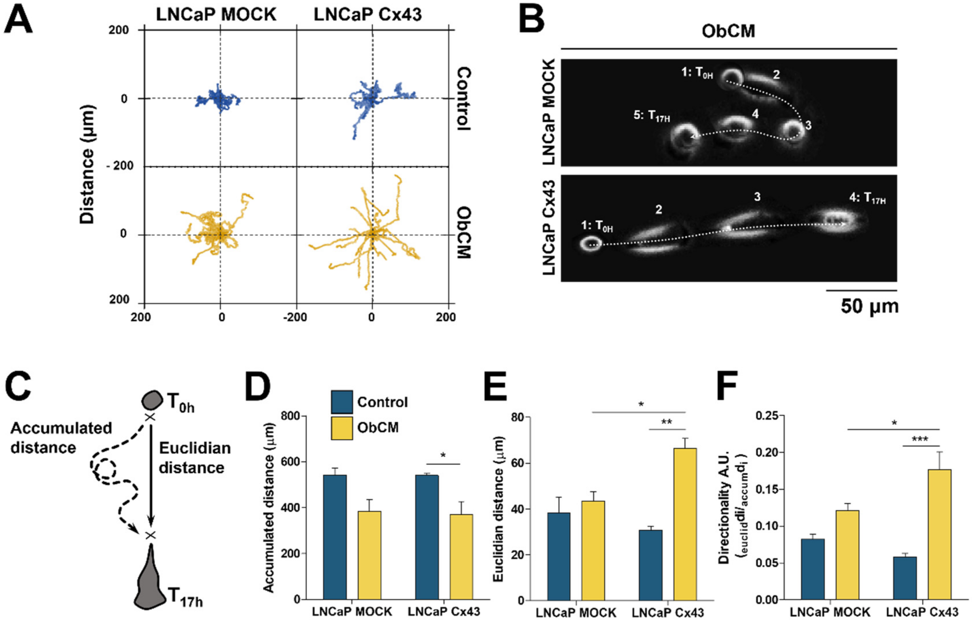 Cancers 12 03013 g003 Cancers 12 03013 g003