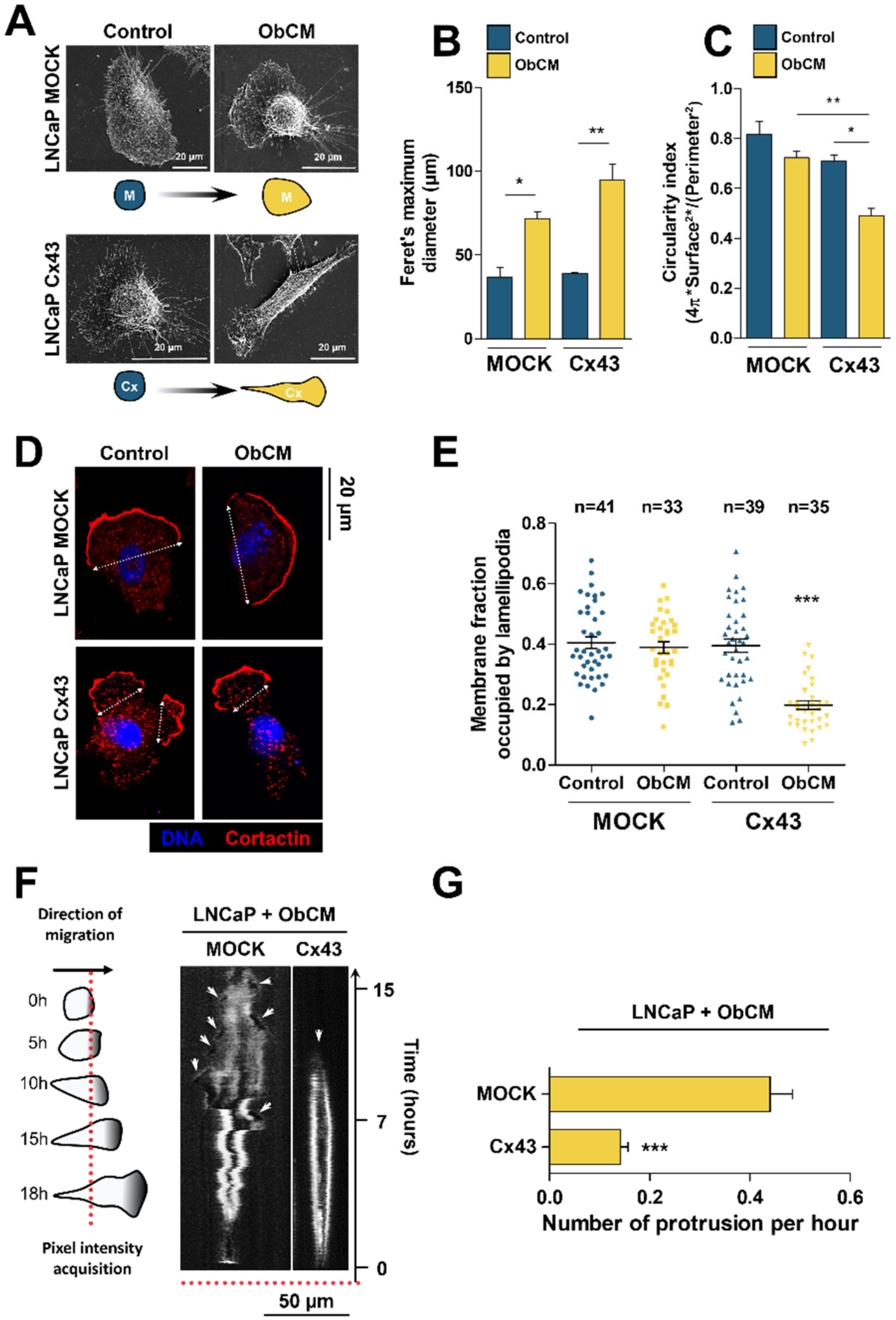 Cancers 12 03013 g004 Cancers 12 03013 g004