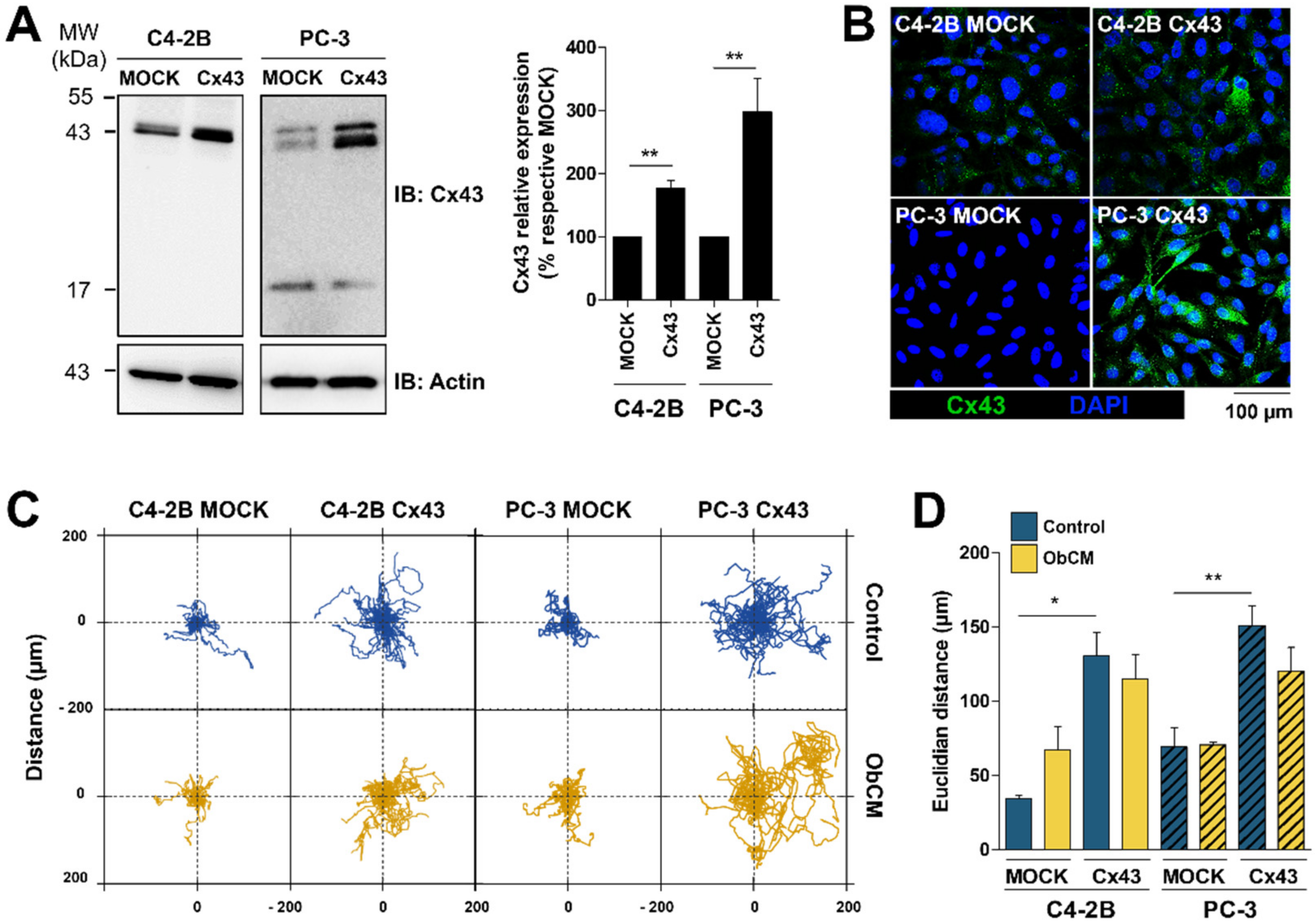 Cancers 12 03013 g005 Cancers 12 03013 g005