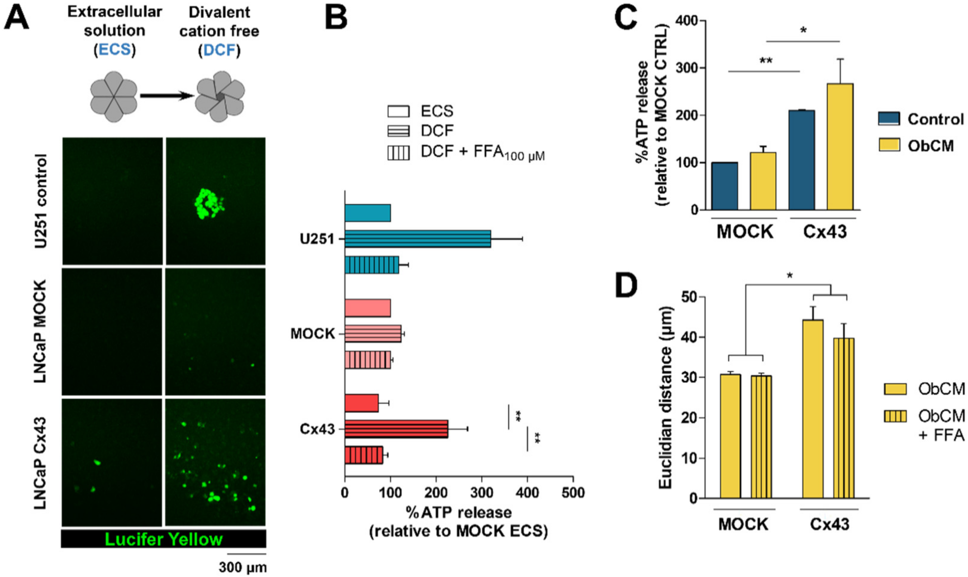 Cancers 12 03013 g006 Cancers 12 03013 g006