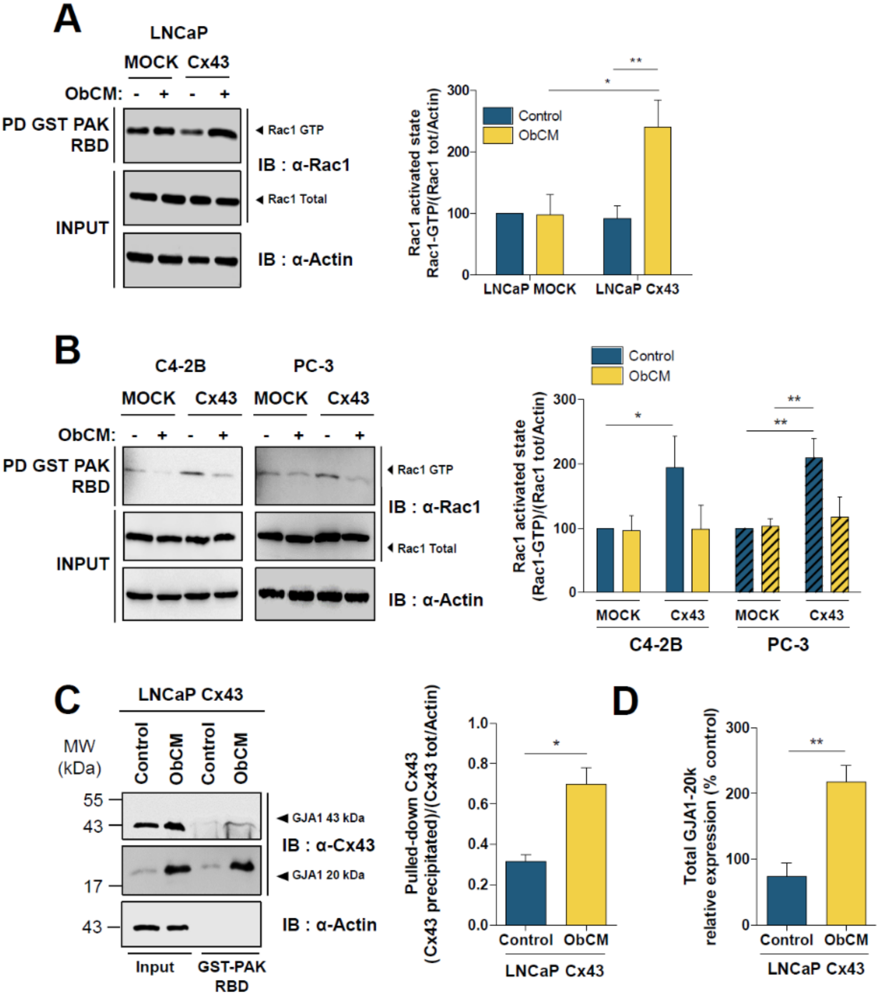 Cancers 12 03013 g009 Cancers 12 03013 g009